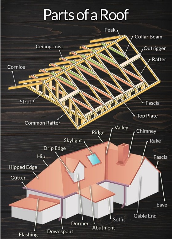 Components of a... - Next Innovation الابـتــكــار القــادم | Facebook