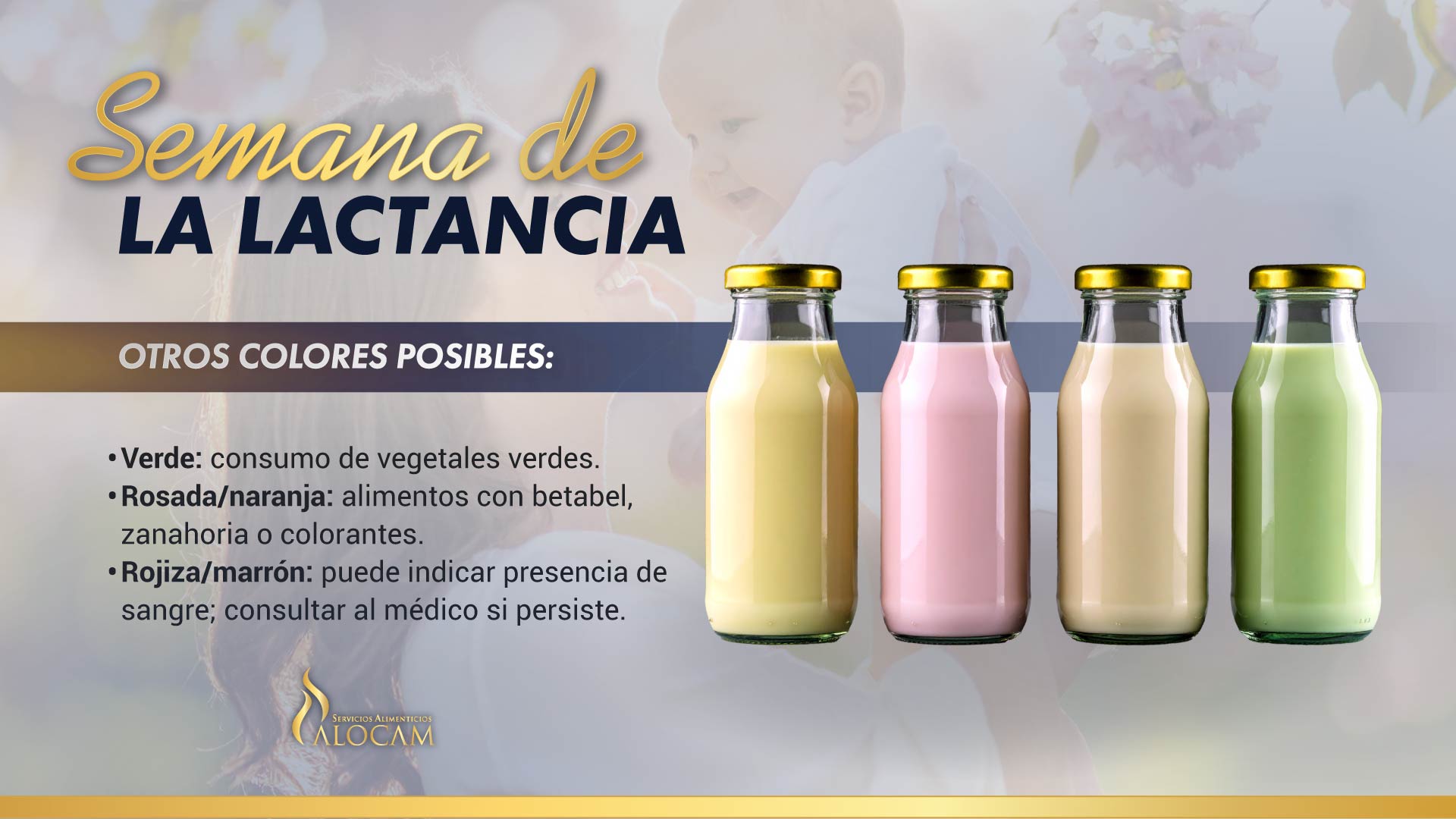 Servicios Alimenticios Alocam | Puebla