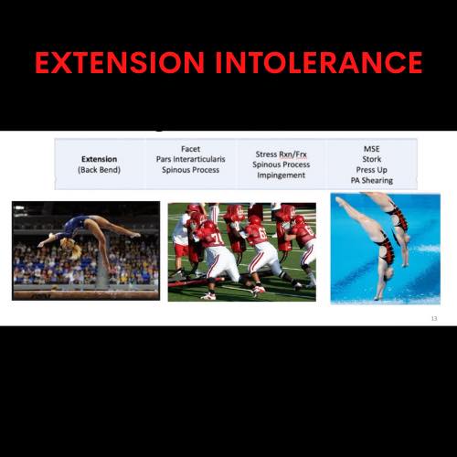SHIFT Movement Science and Gymnastics Education | Boston MA