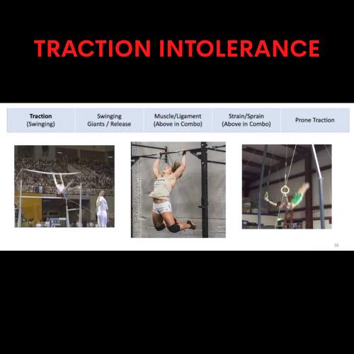 SHIFT Movement Science and Gymnastics Education | Boston MA