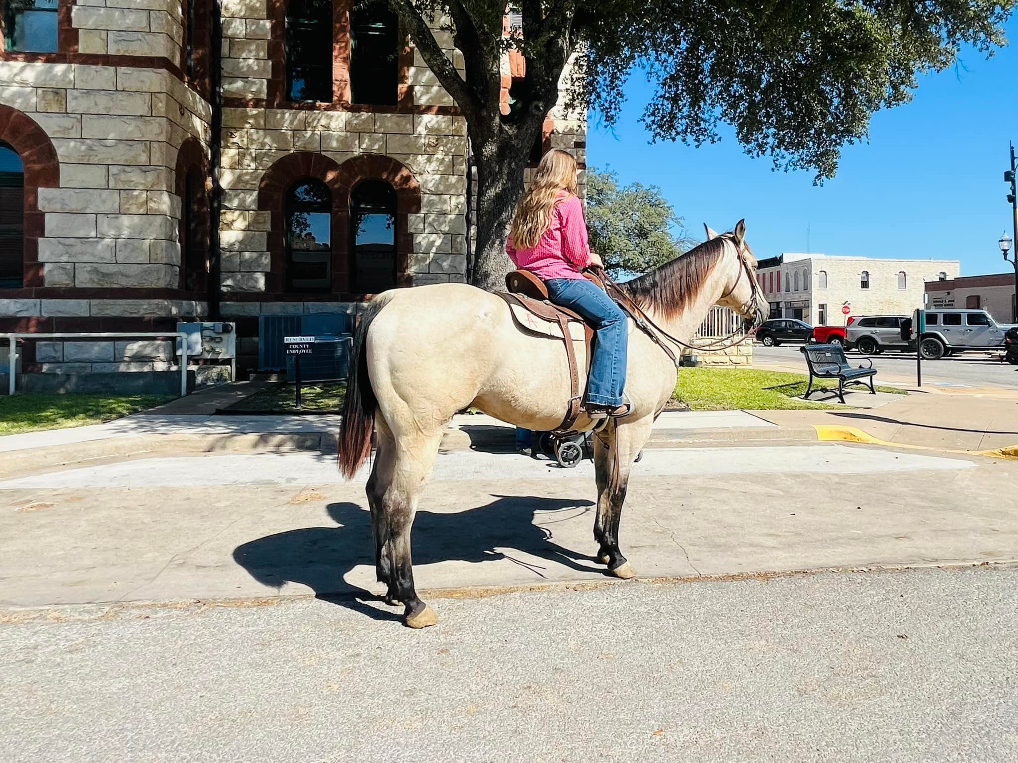 Twisted M Performance Horses | Stephenville TX