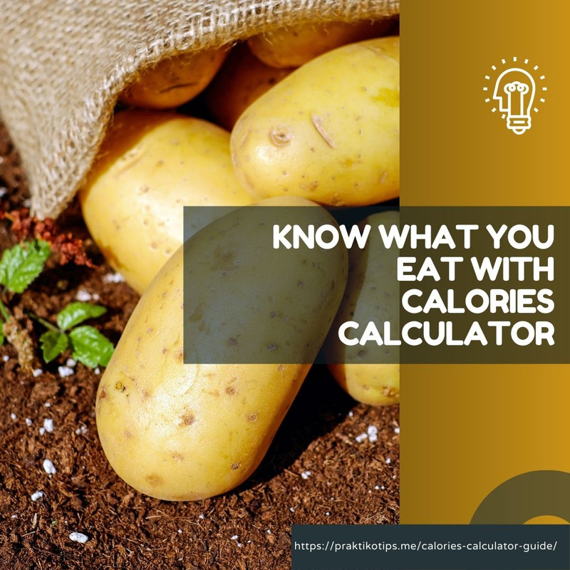 Health - The traditional method of calorie calculating with the BMI and ...