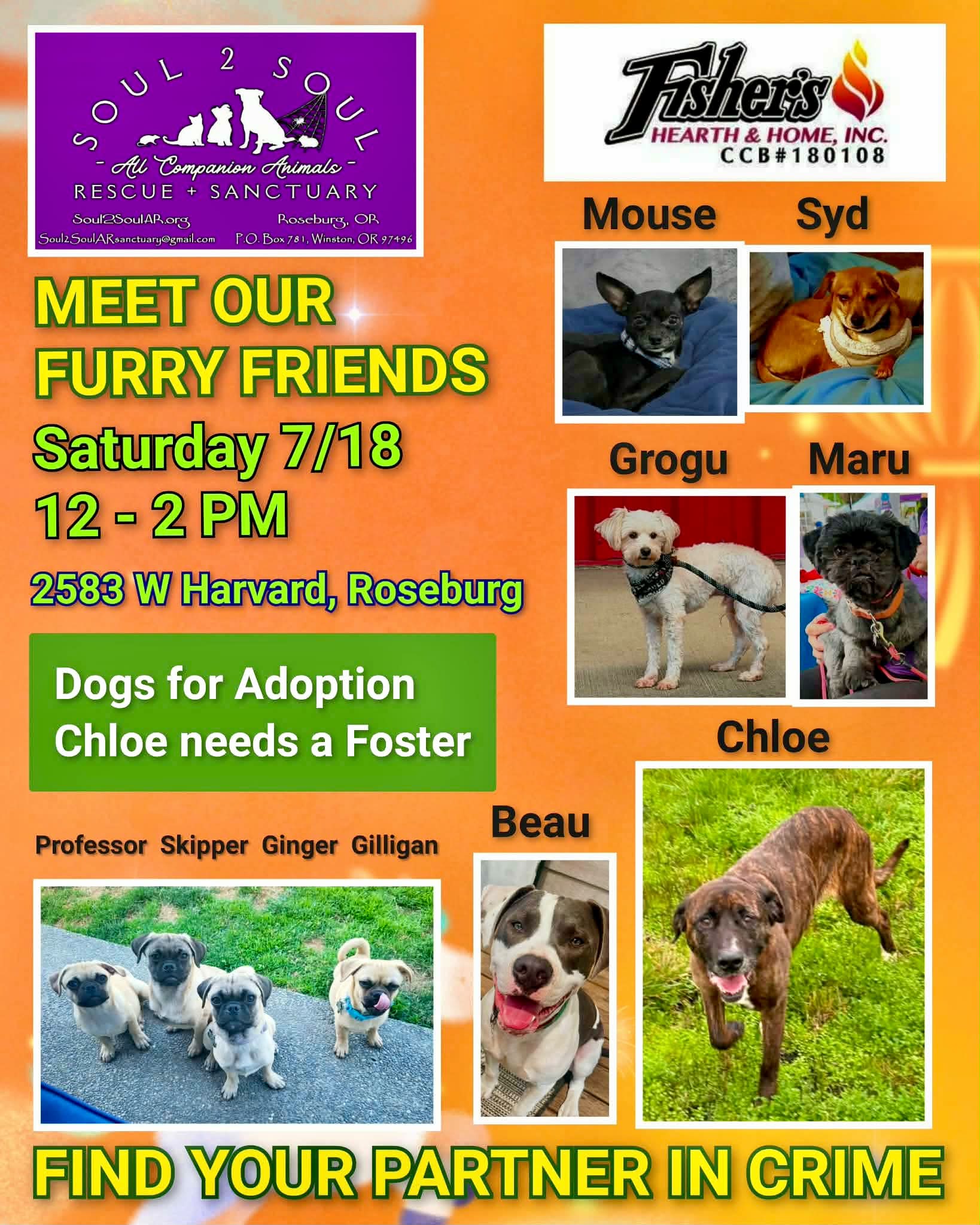Soul 2 Soul - Soul 2 Soul Animal Rescue And Sanctuary