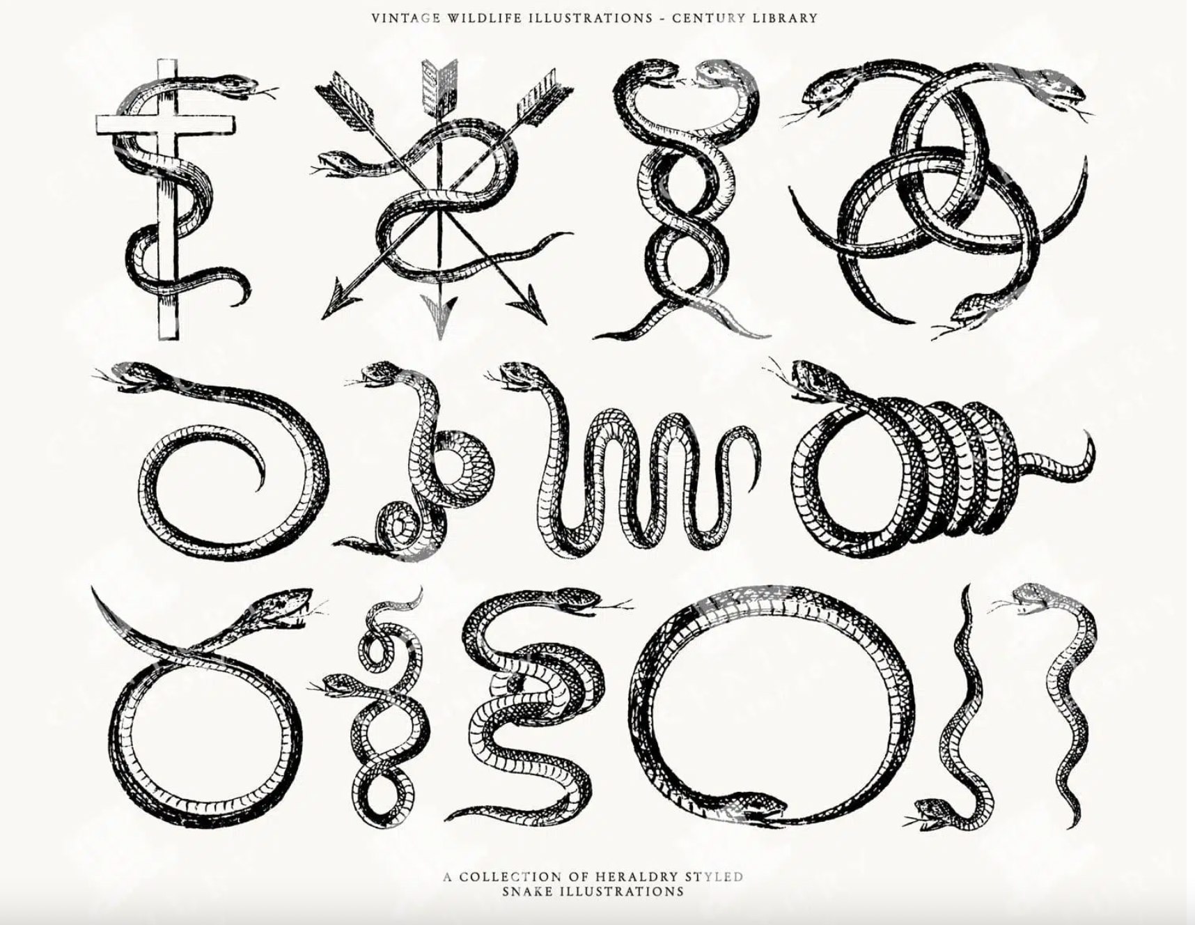 Pretty - 🐍 Snakes in Symbolism: More Than Just a Hiss 🐍 Ever wondered ...