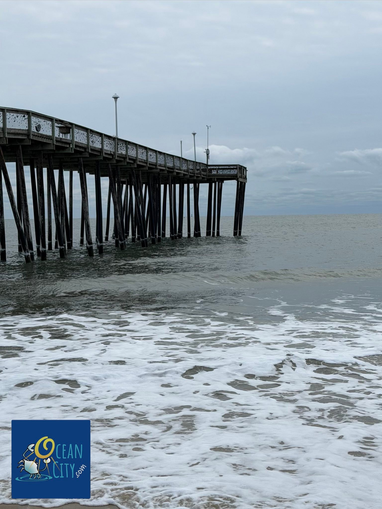 OceanCity.com - OceanCity.com added a new photo.
