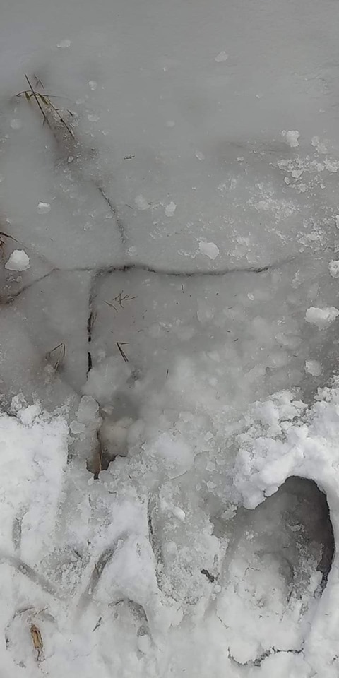 山形県 県民の森 お願い 1月26日 日 の板橋沼の氷の状況です Facebook