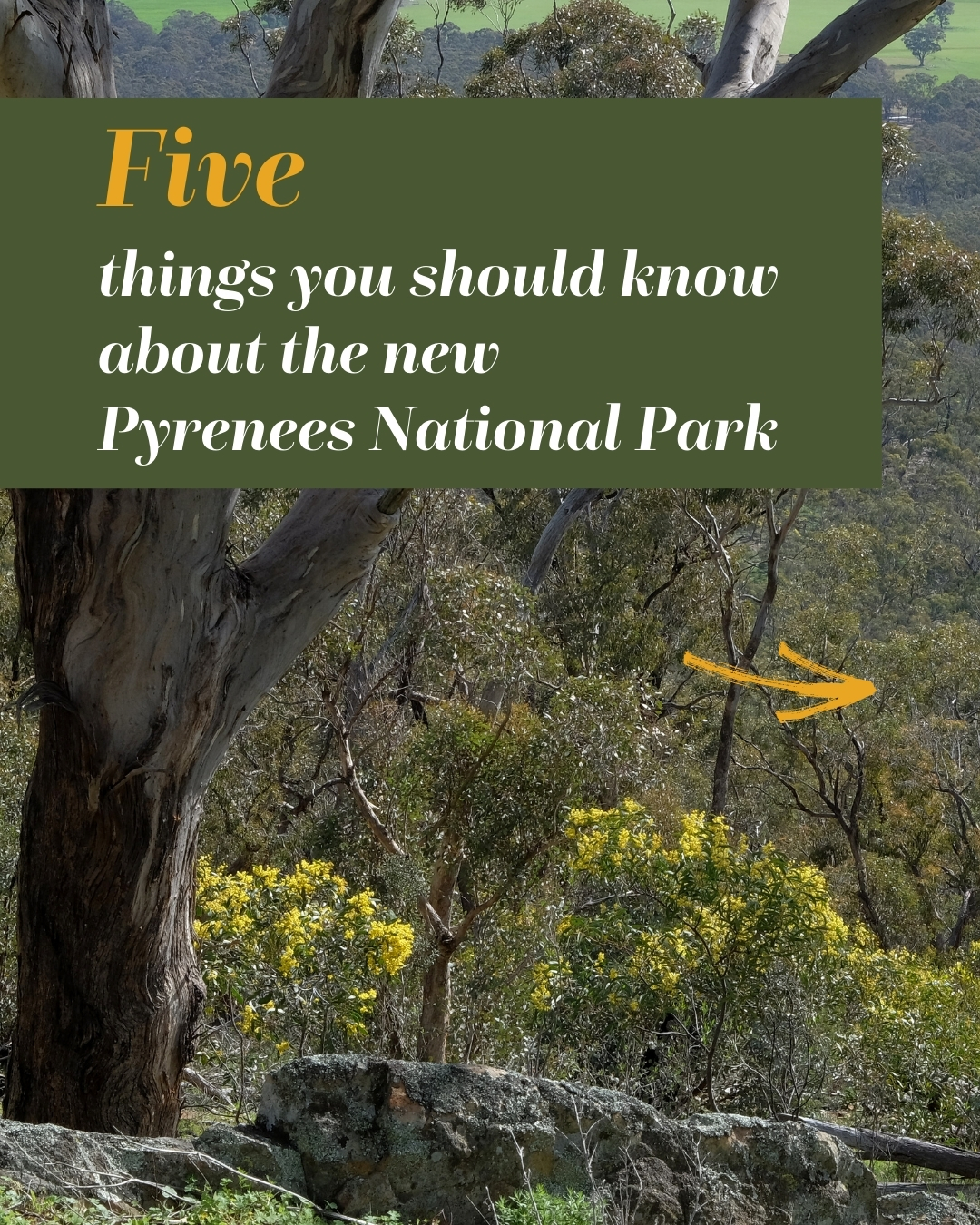 Victorian National... - Victorian National Parks Association