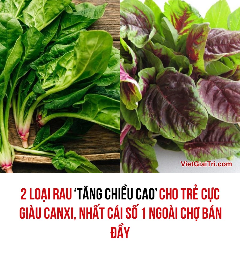 VGT - RAU DỀN VÀ CHÂN VỊT DẪN ĐẾN CHIỀU CAO Rau dền chứa canxi lên tới ...