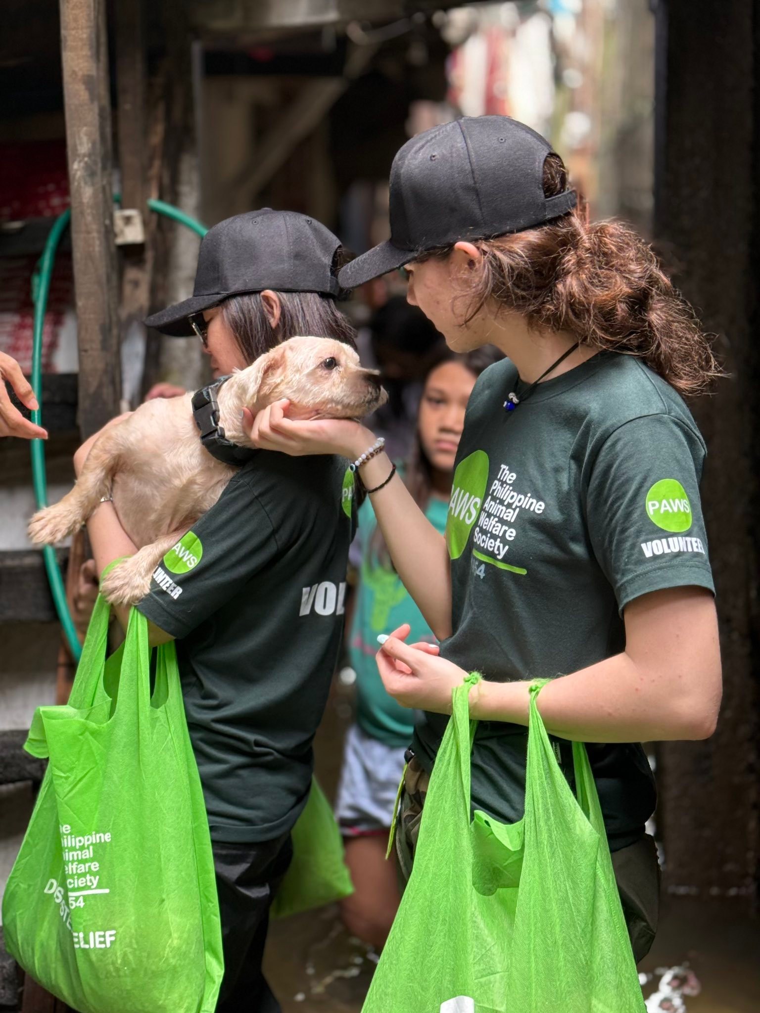 NOW’S YOUR... - Philippine Animal Welfare Society (PAWS) | Facebook
