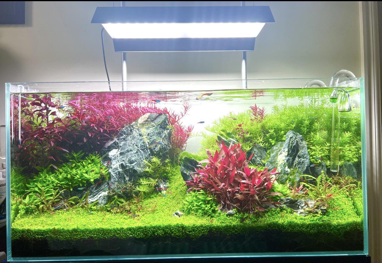 Bright✨ ☀️ #chihirosvivid2 💚Scaped by Deniz Cetinkaya