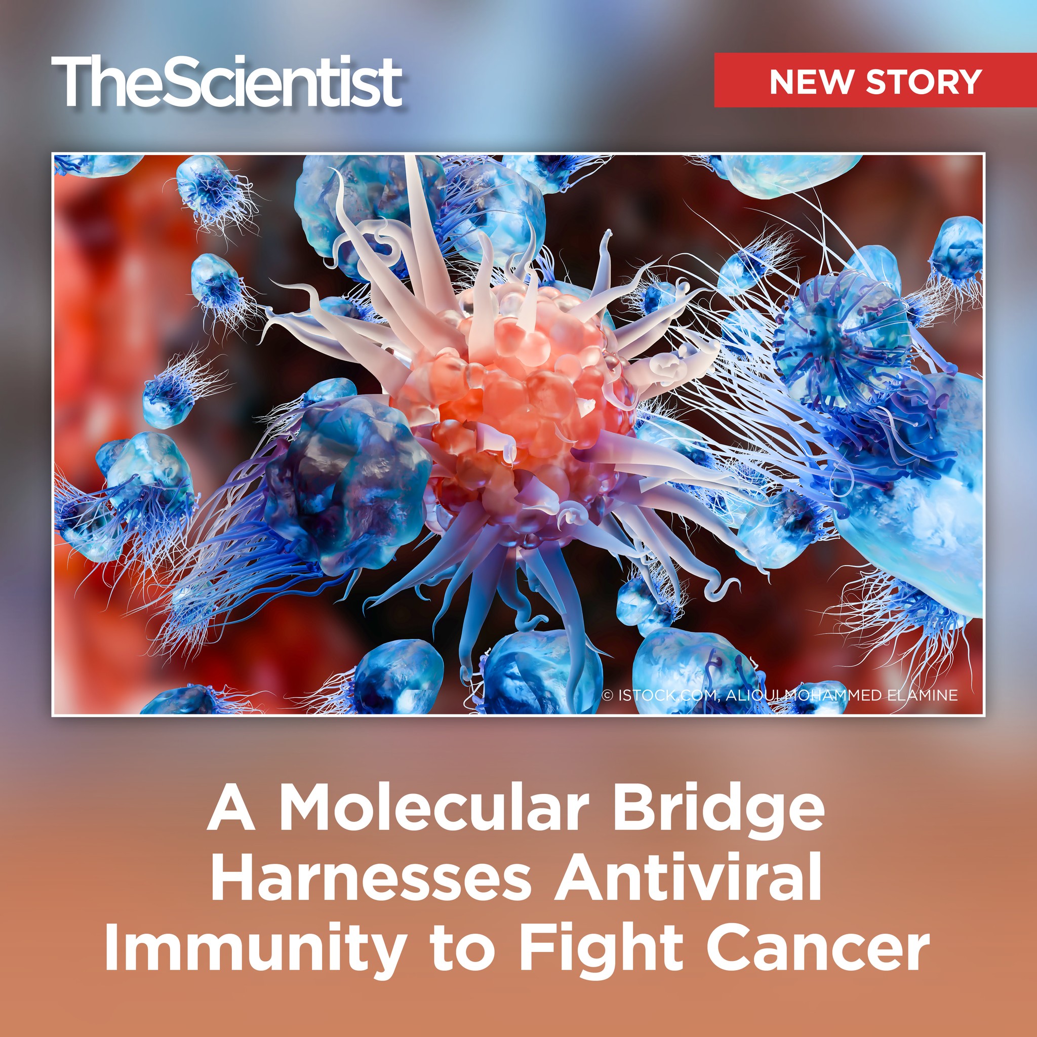 dr james glutathione injection price Researchers have designed a molecule that binds both antibodies from the chickenpox vaccine and tumor cells, creating a bridge linking antiviral immune response to cancer killing. Read about the study: https://bit.ly/4rXiPEq Bac Water Quantity:10ml When to Take Glutathione: Online pharmacy UAE