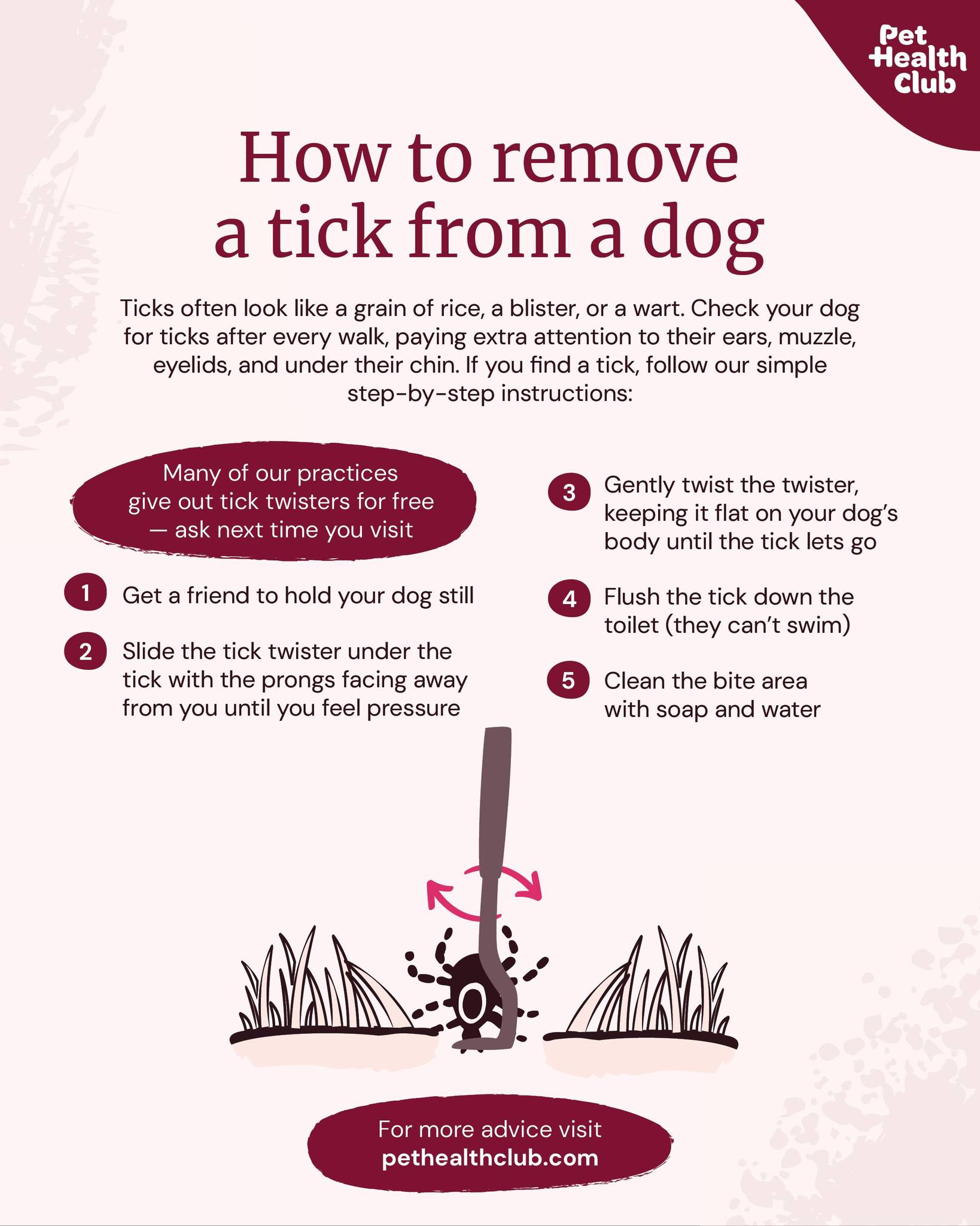 Photo inspiration: How To Safely Remove A Tick From A Dog Reference: Crossways Tick Season Is Here So Here S How To
