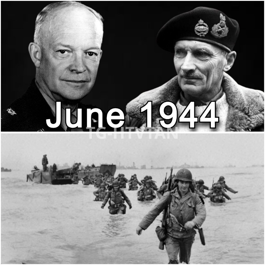 Queen - How Montgomery Nearly Ruined D-Day — And Why Eisenhower Let Him ...