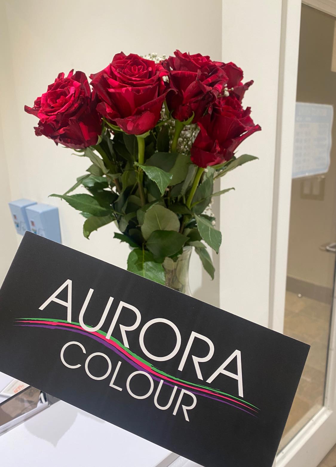 Aurora Colour | Iqaluit NU