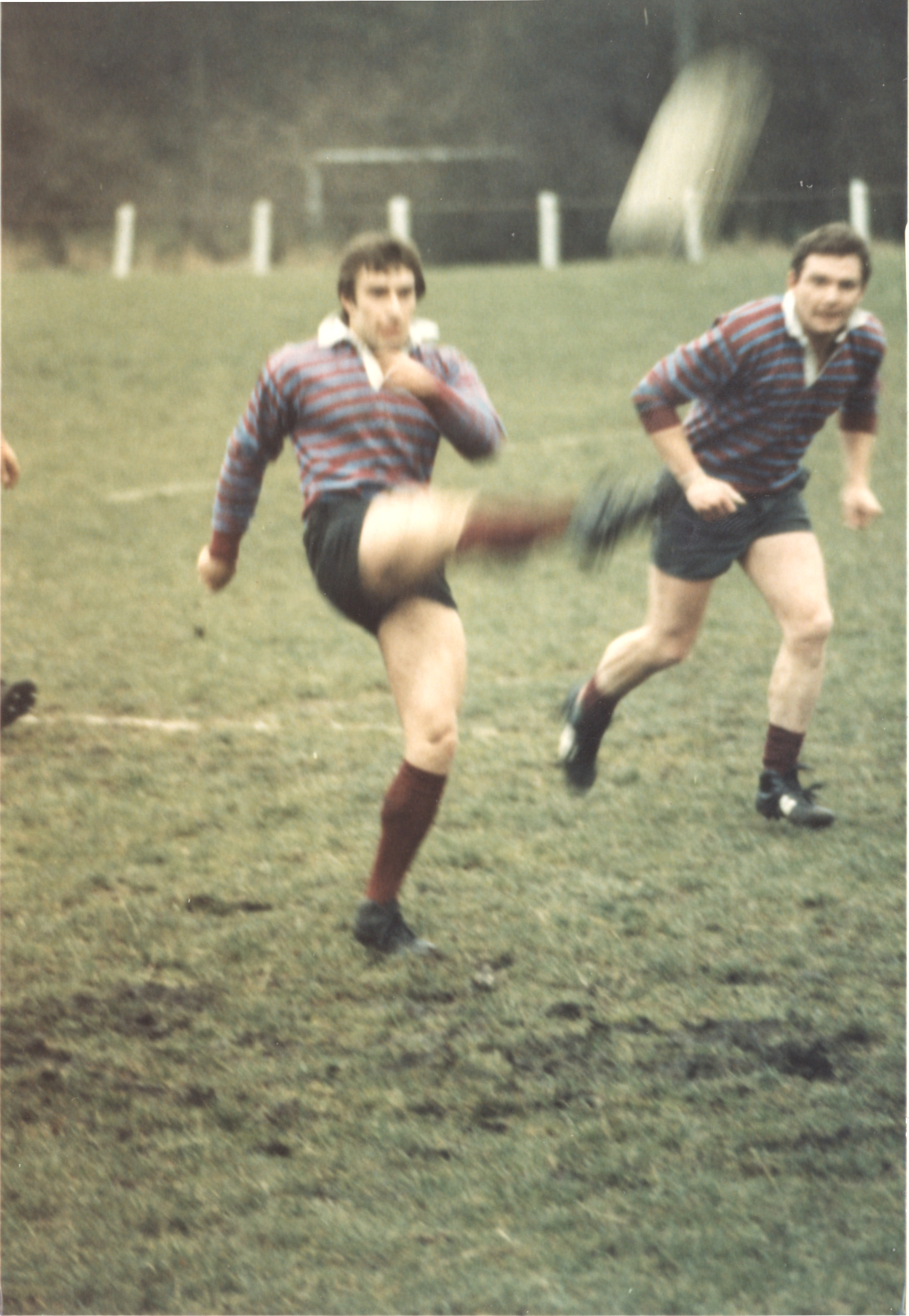 Peterlee & Horden Rugby Club | Peterlee