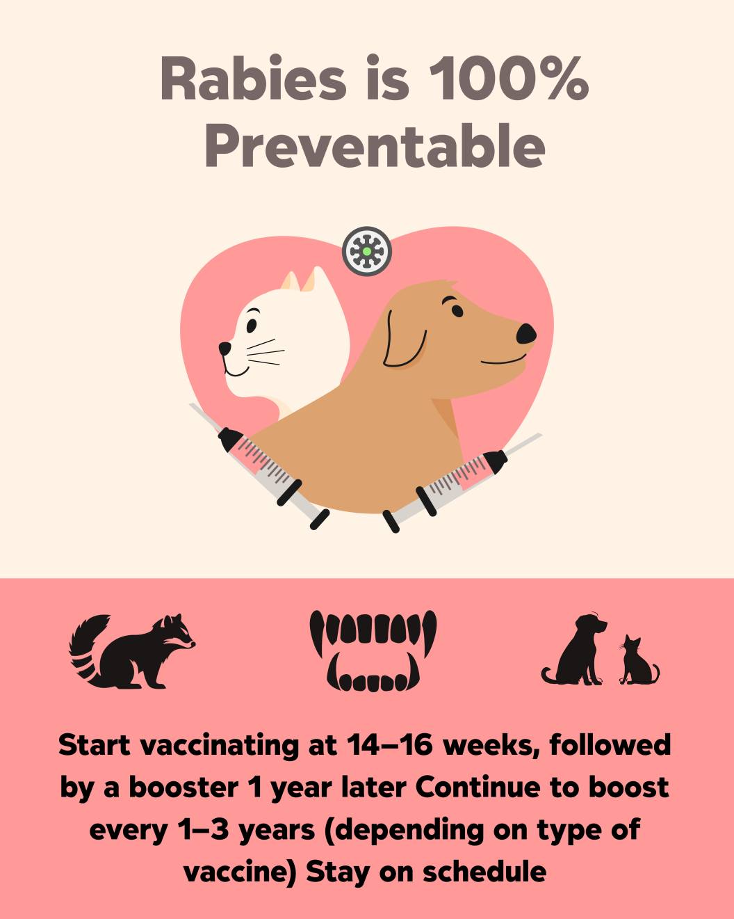 🦊 Today is World Rabies... - Atlantic Veterinary Hospital | Facebook