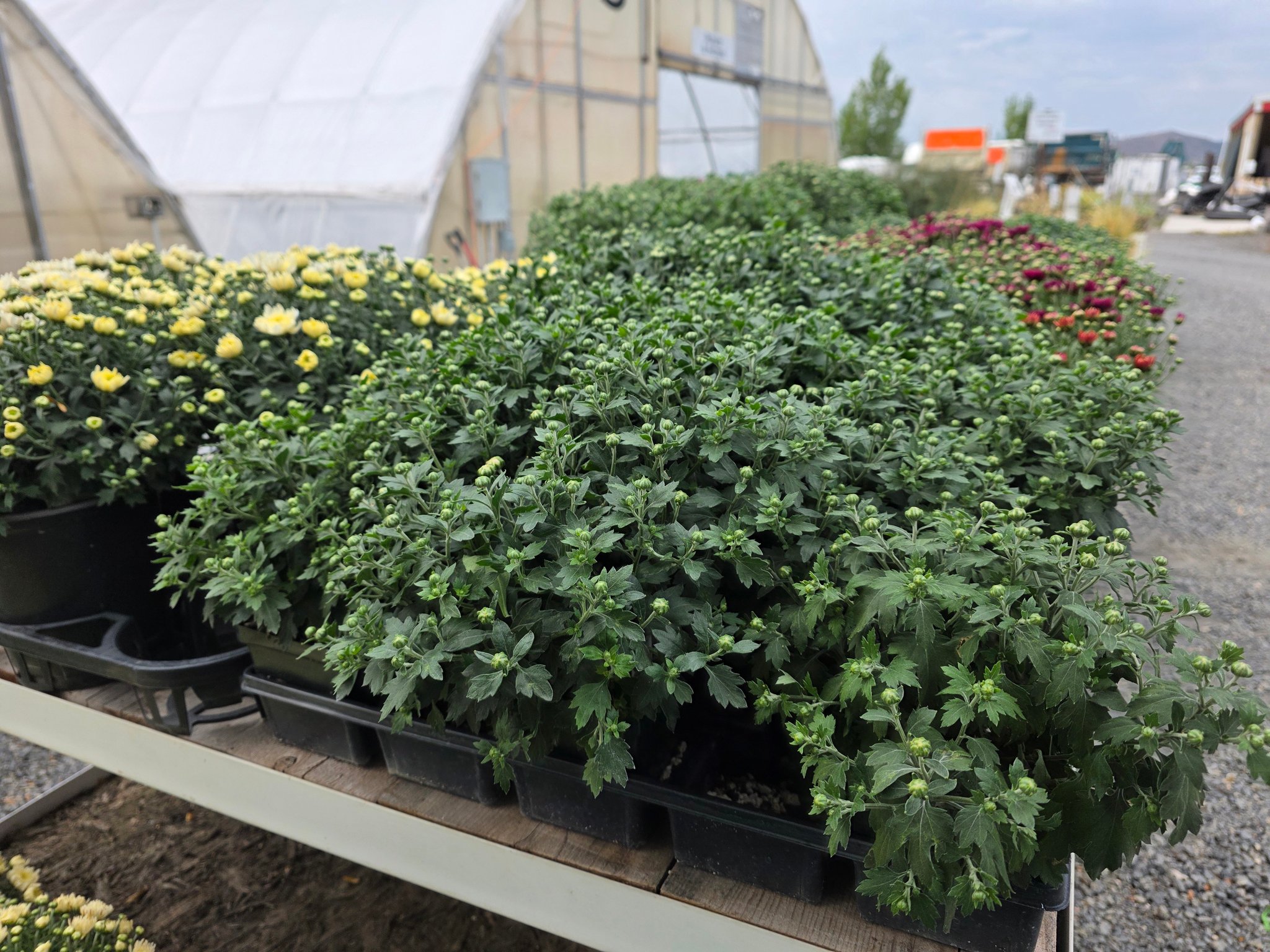 Mountain Valley Gardens | Klamath Falls OR