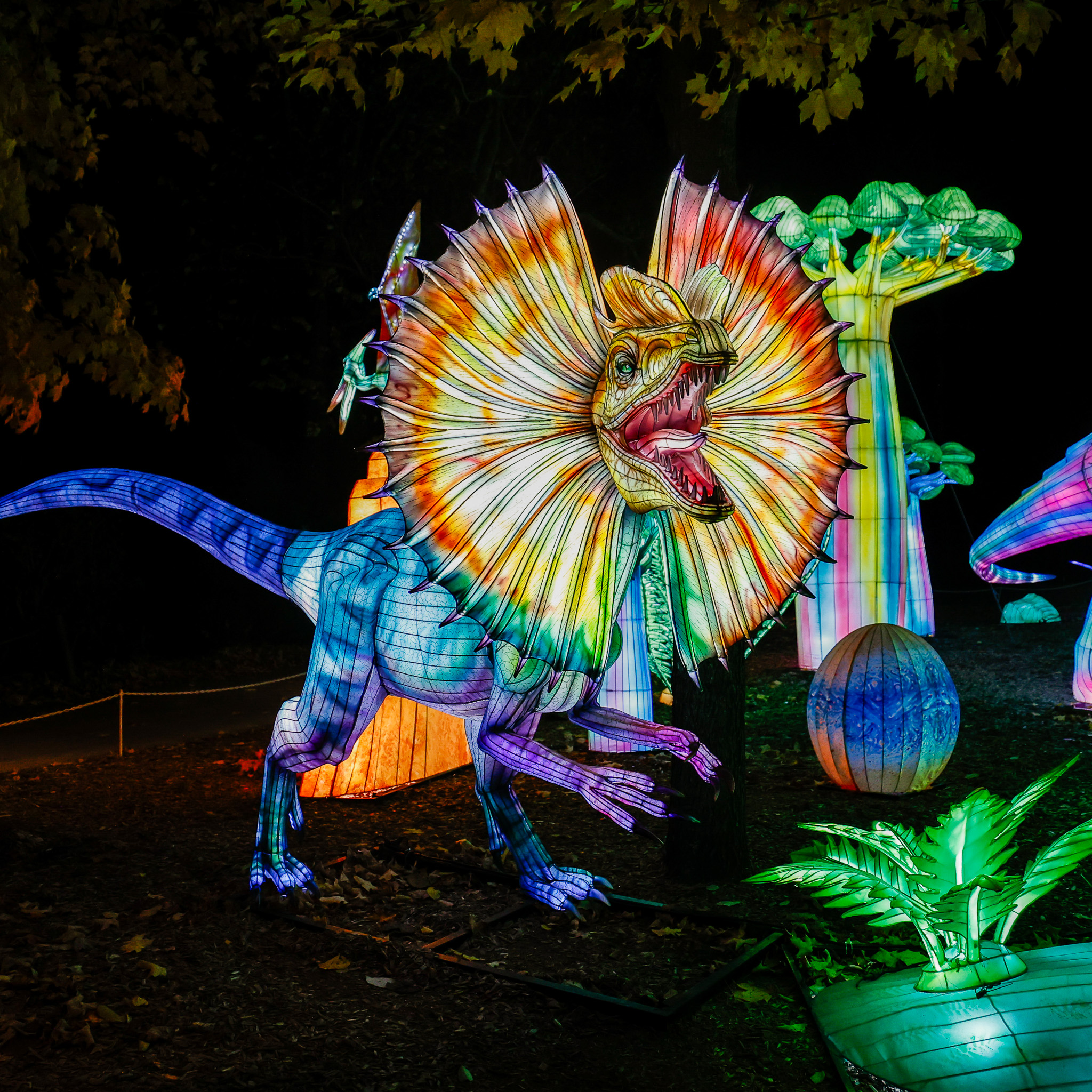 Saw these glowing dinos at Zoolumination? 🦕🦖 They were a hint of
