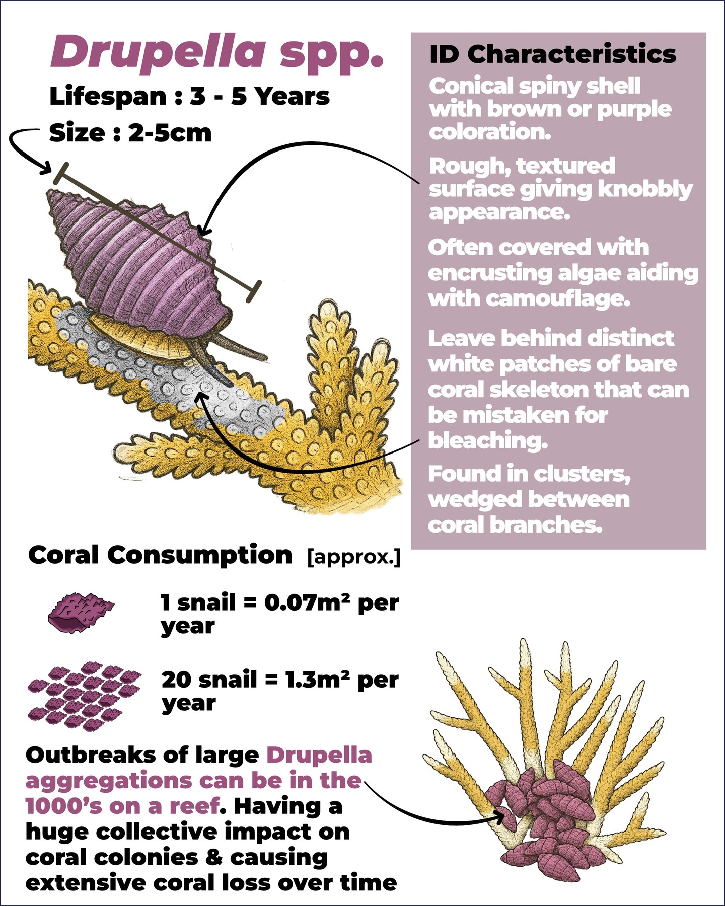 Ocean Park Marine | Petaling Jaya