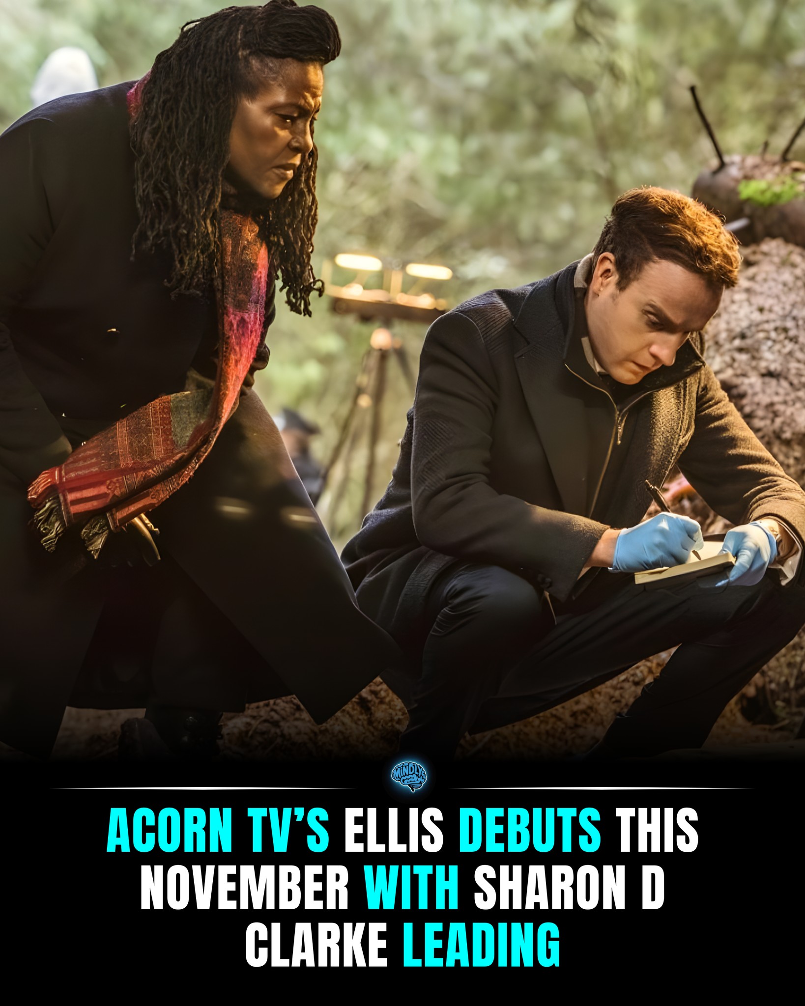 Mindly - Acorn TV has confirmed that Ellis will debut this November ...