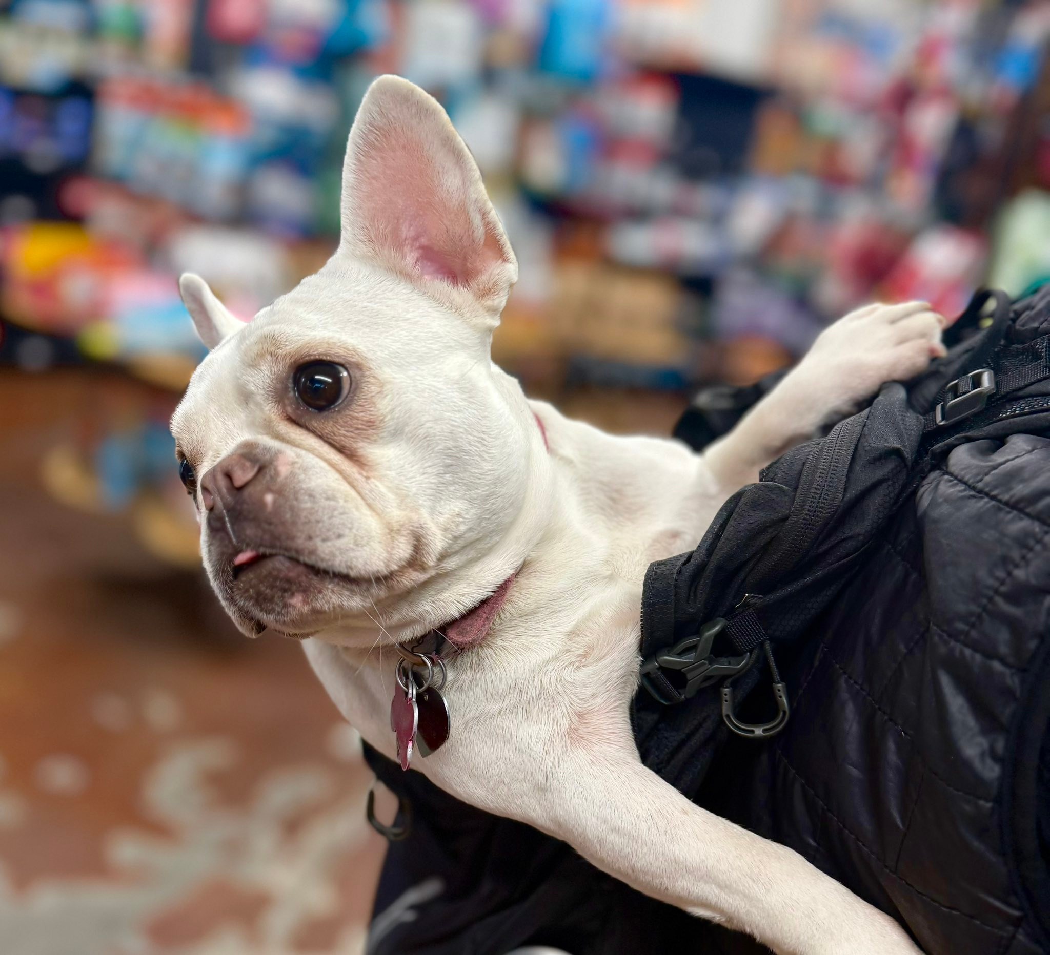 Red's Aquarium & Pet Supply | Bellingham WA