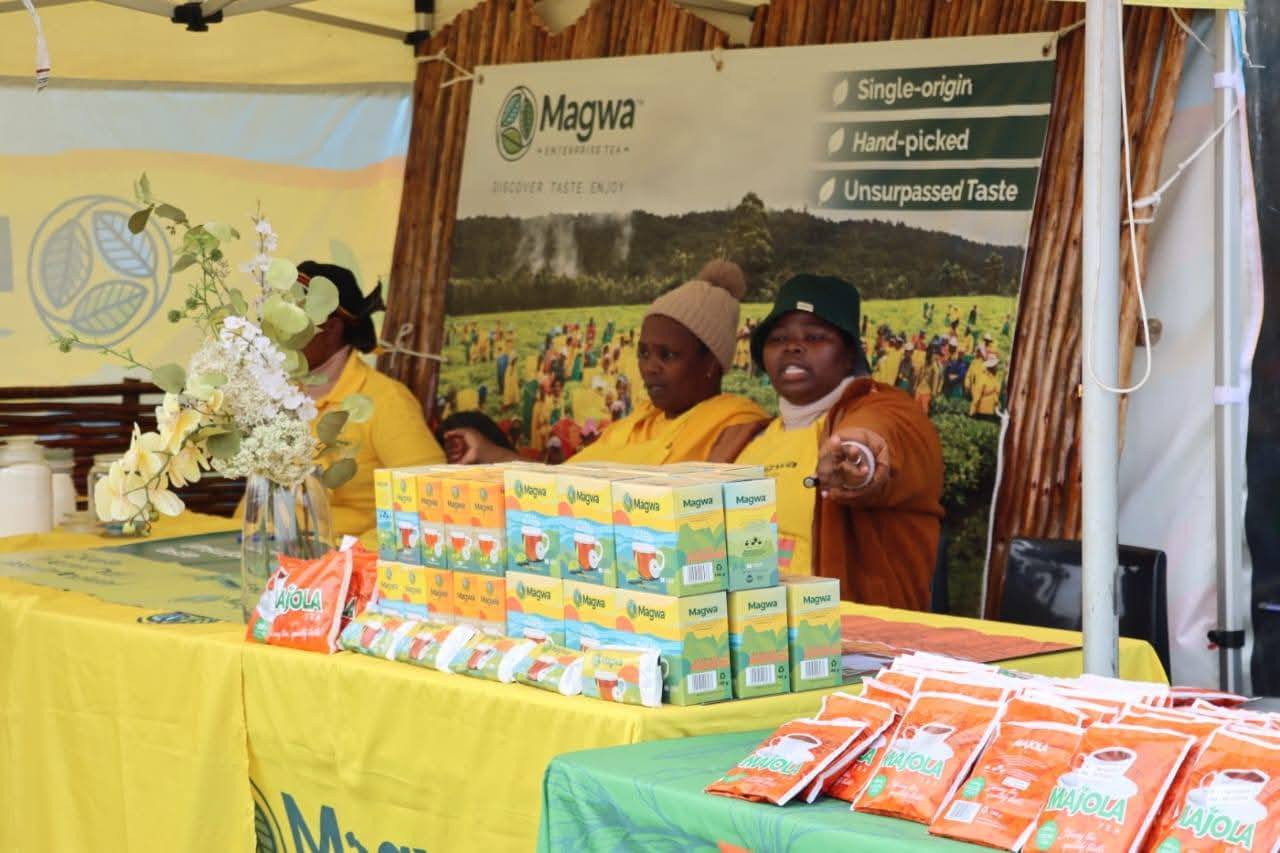MAGWA TEA South Africa | Lusikisiki