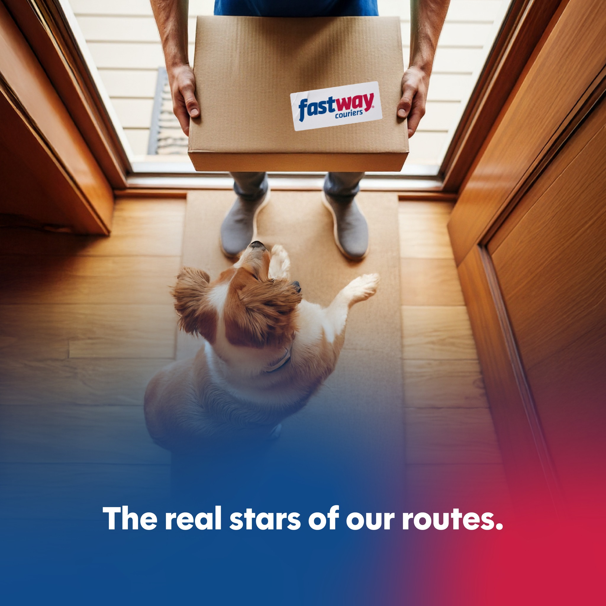 Fastway Couriers South Africa