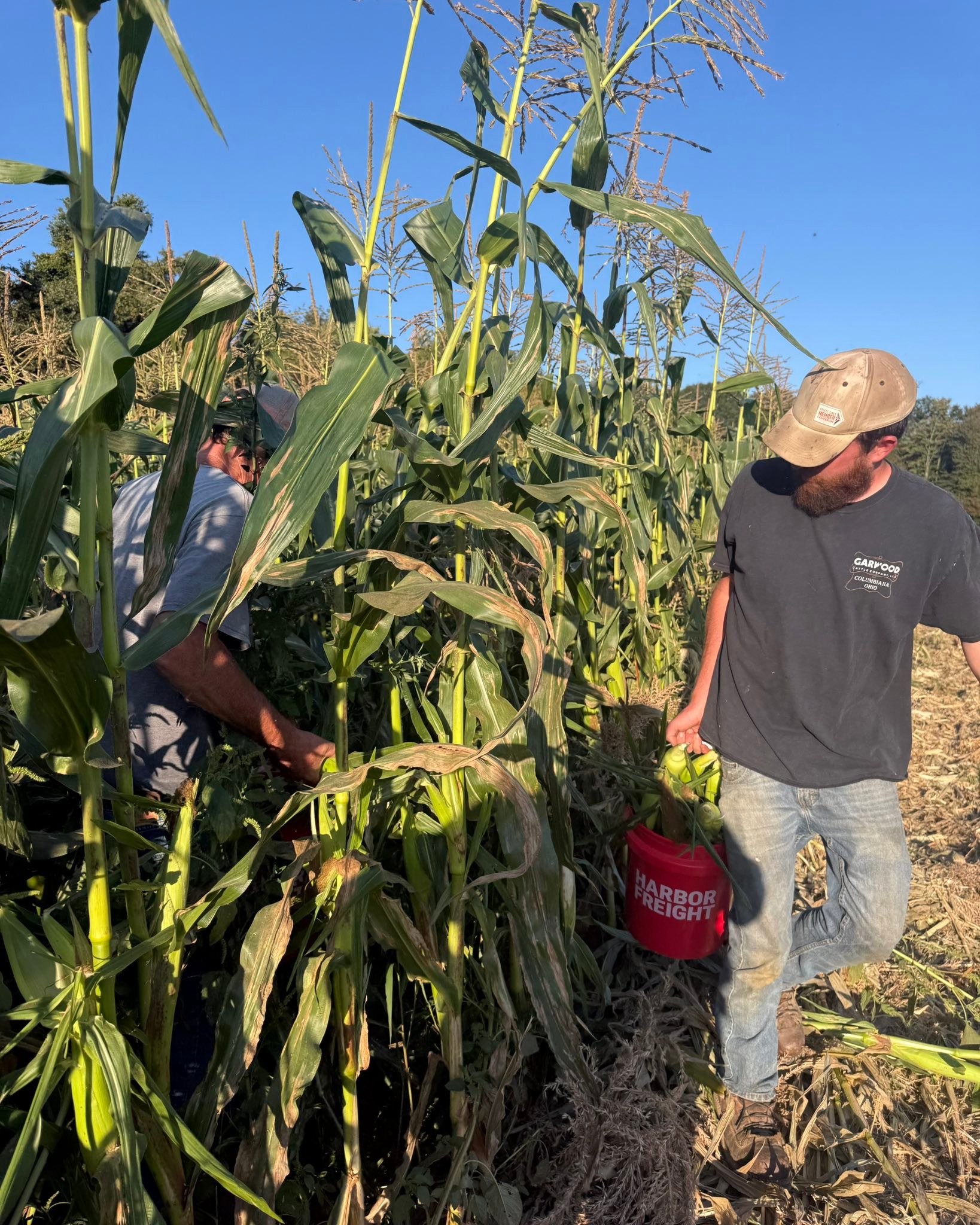 BB Farms LLC | Hiram OH
