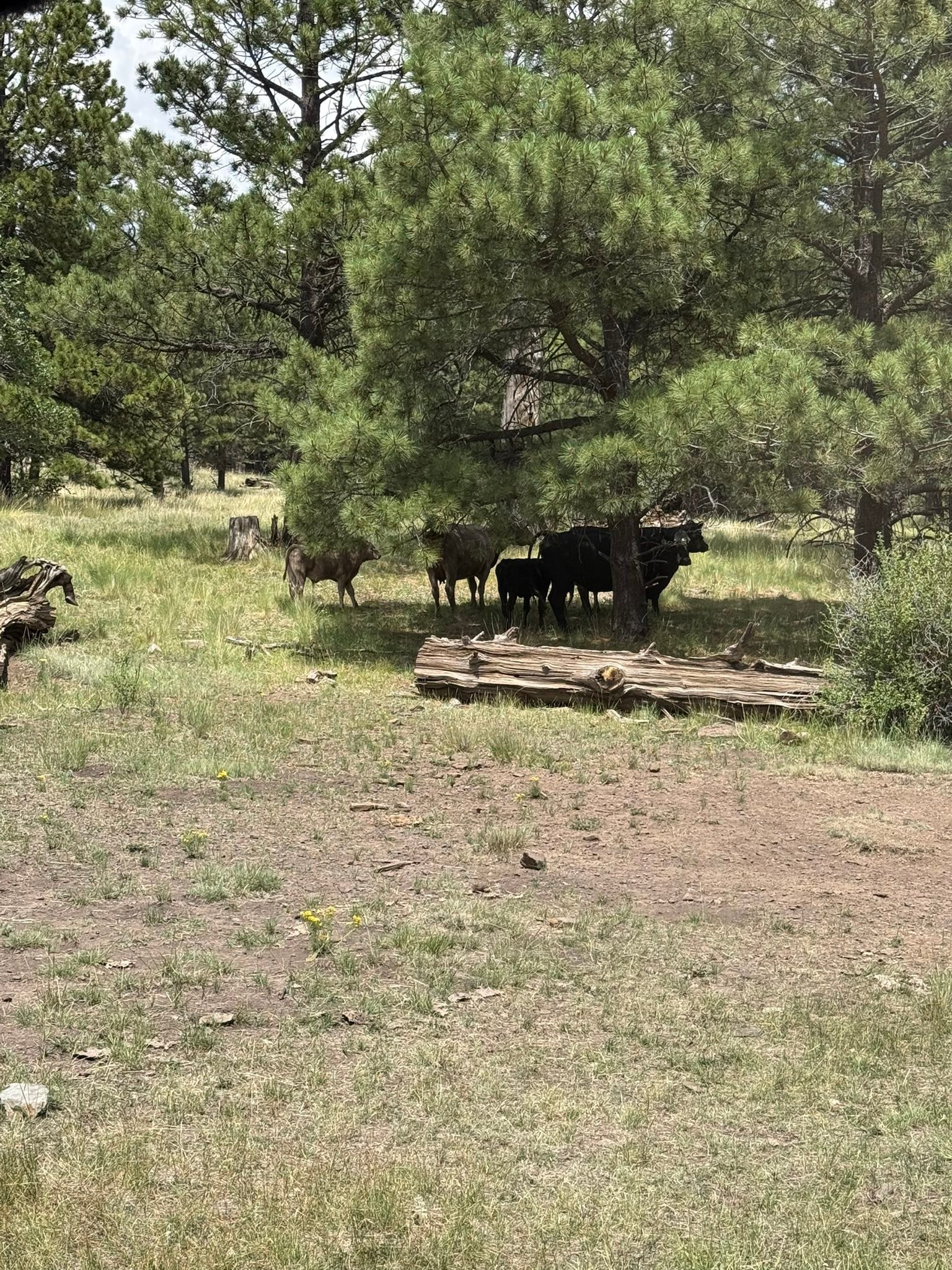 Rivers Bend Ranch | Aztec NM