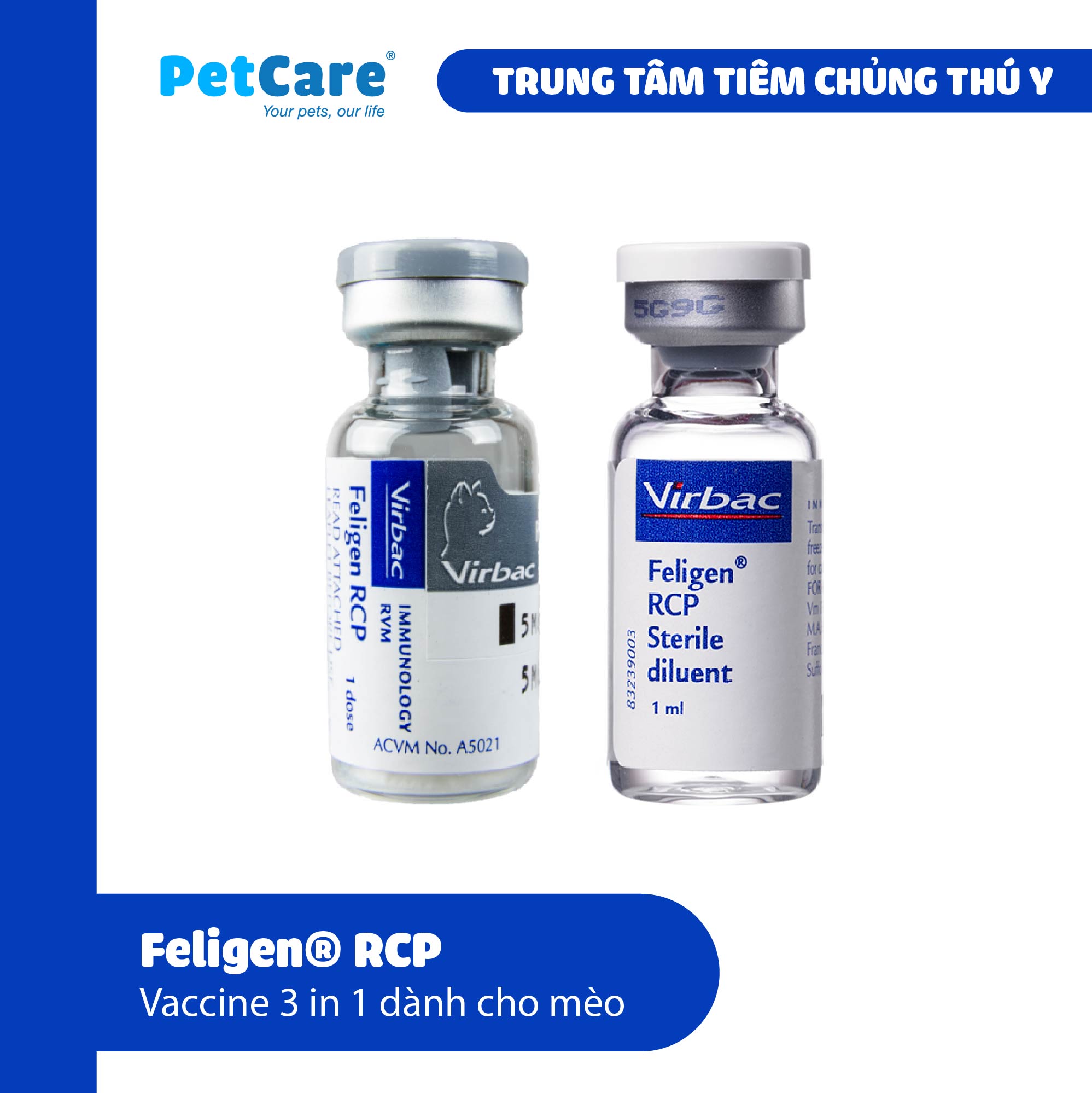 PetCare - Feligen® RCP (Vaccine 3 in 1 dành cho mèo) - Feline Viral ...