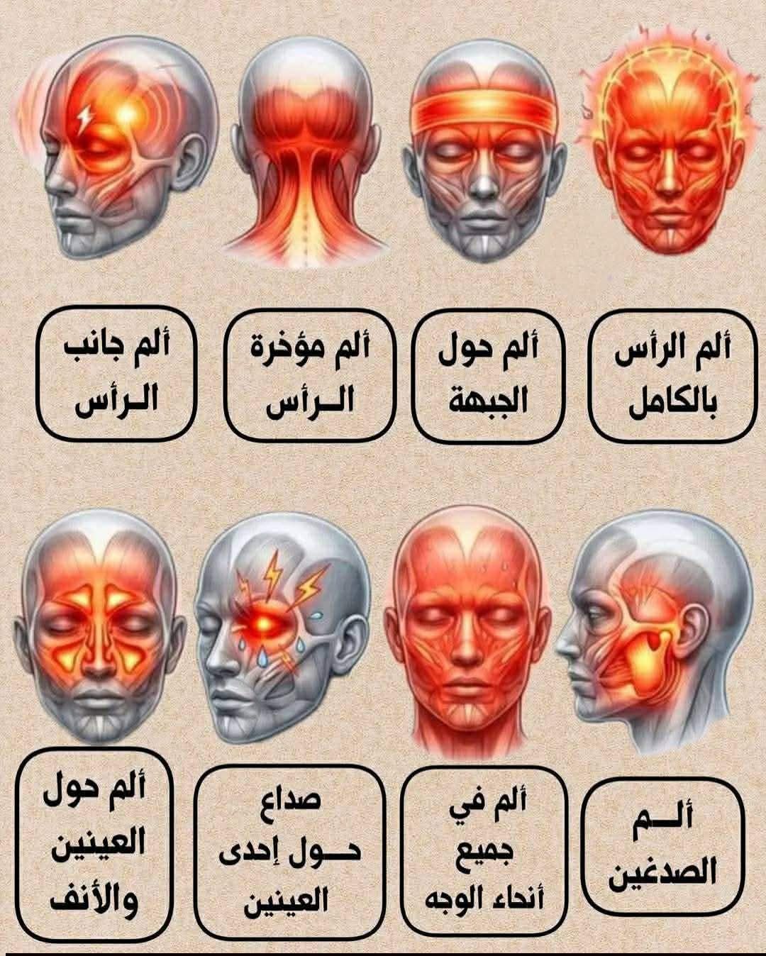 روائع - ️ ألم الرأس بالكامل : يثار بسبب الأطفال يومياً ️ ألم حول الجبهة ...