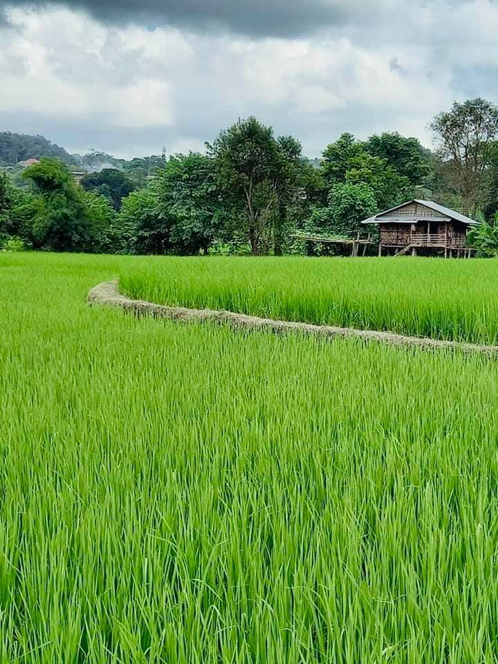 Our Farm
