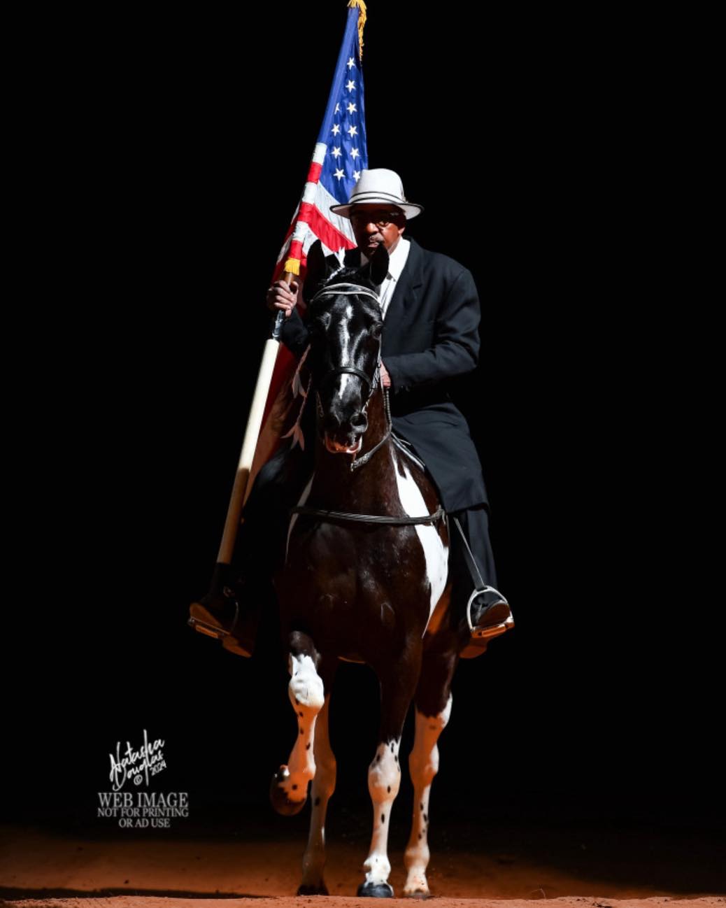 Racking Horse Breeders Association of America | Decatur AL