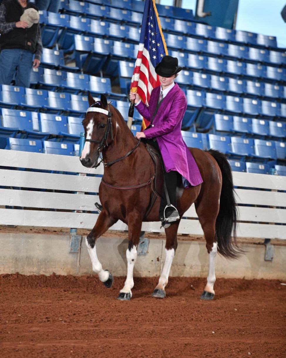 Racking Horse Breeders Association of America | Decatur AL