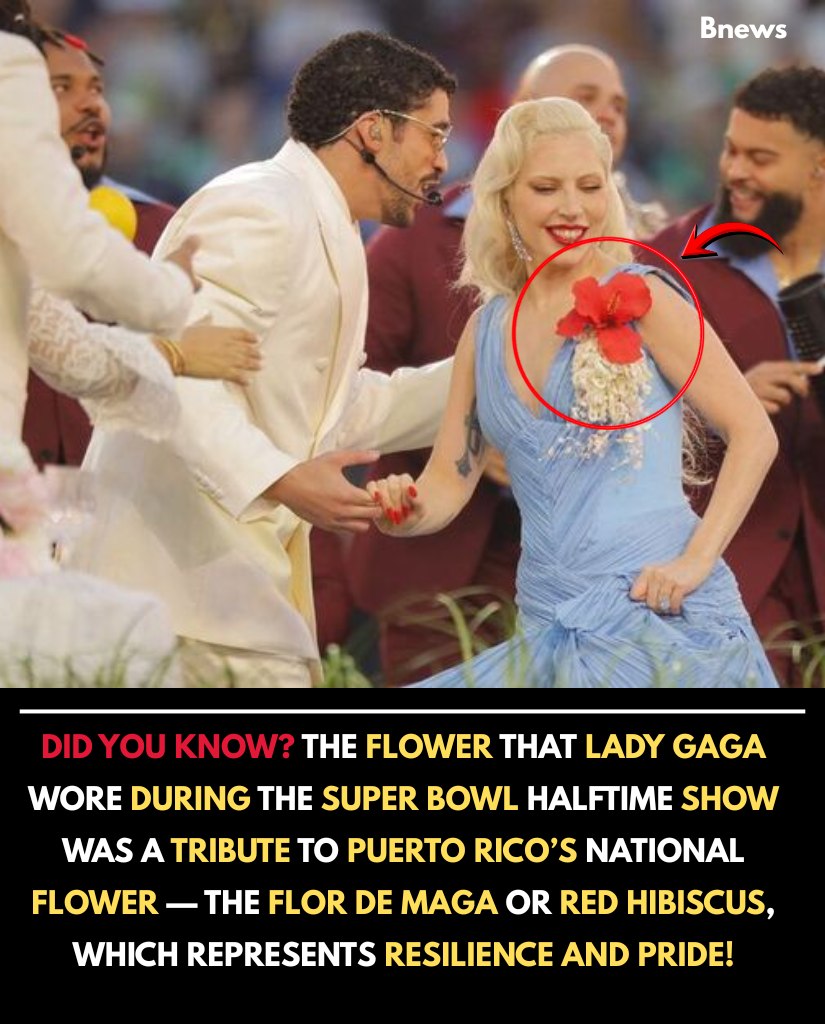lady gaga flower dress That red on Gaga's wasn't just a style choice 🌺 During the Super Bowl LX halftime show with Bad Bunny, she wore the Flor de Maga — Puerto Rico's CORAL