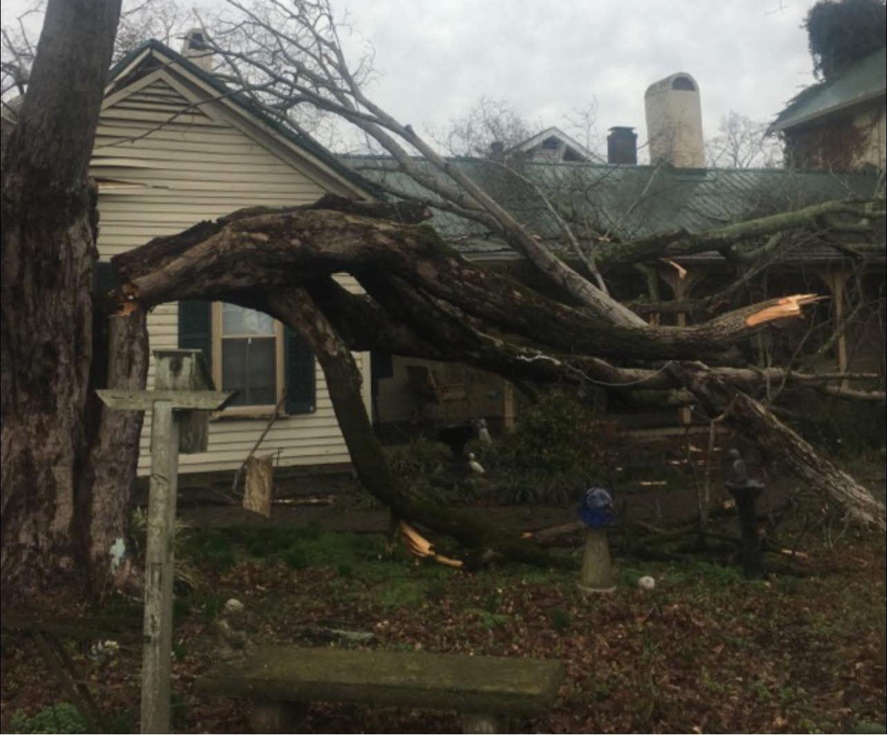 Sears Tree Service, LLC | Lewisburg KY