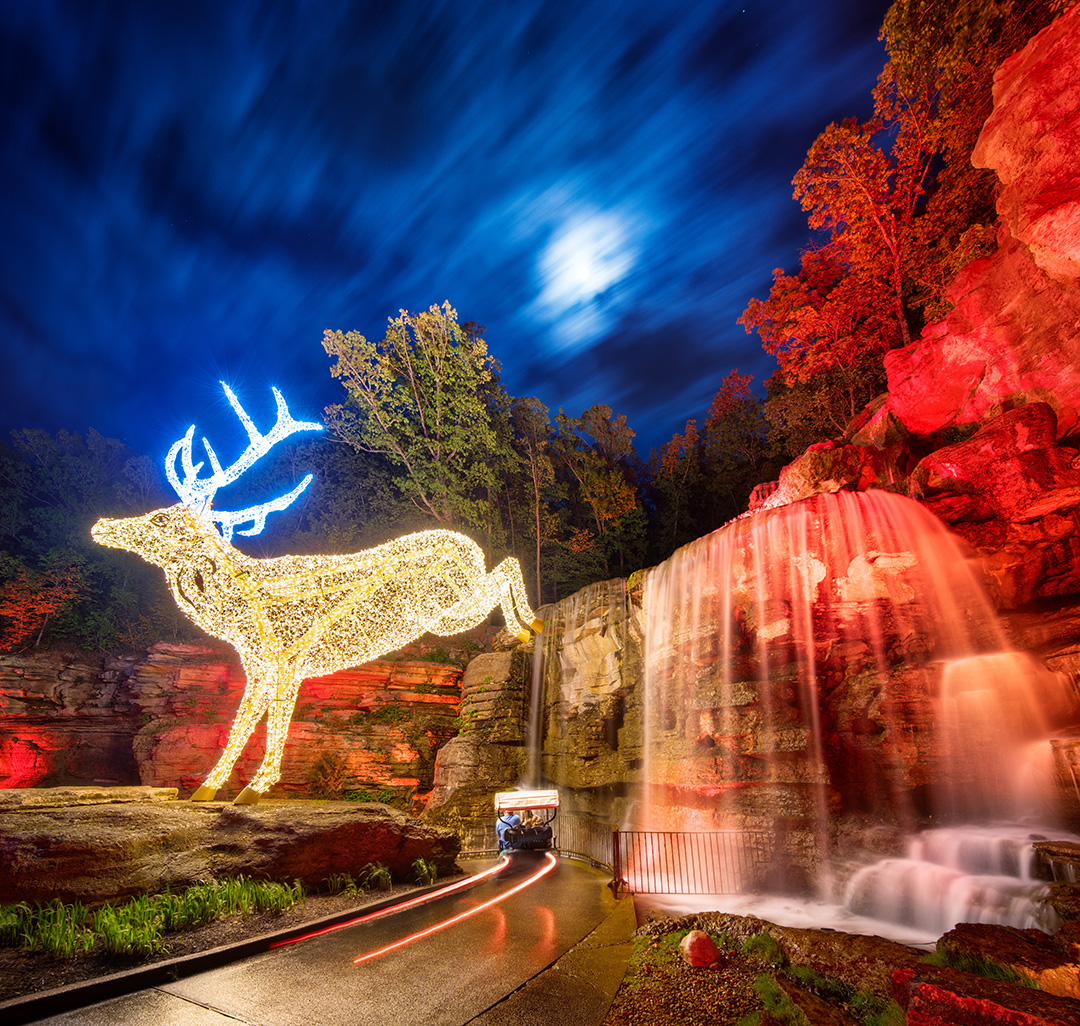 Spring Nature at Night returns this March! ✨ Experience the