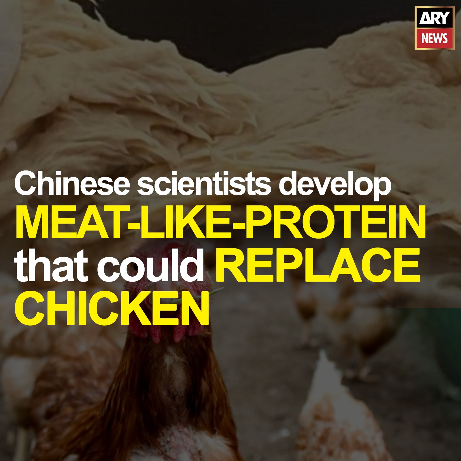ARY - Chinese scientists develop meat-like-protein that could replace ...
