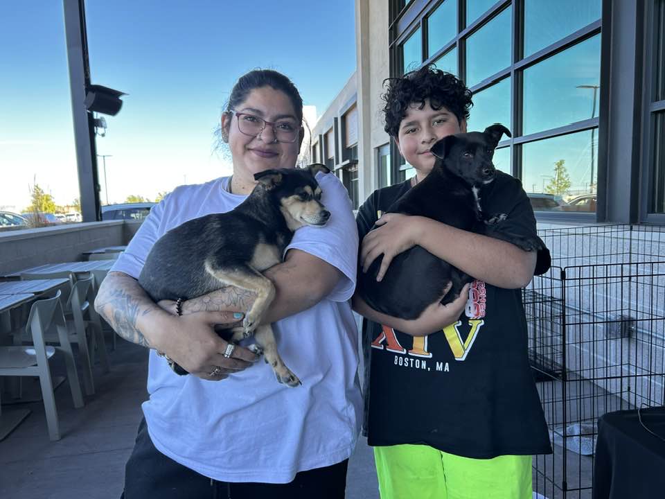 Albuquerque Animal Welfare... - Albuquerque Animal Welfare