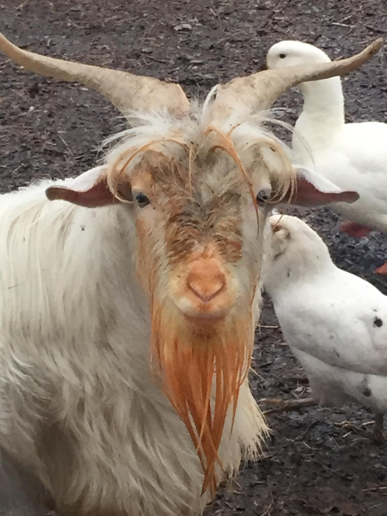 Blue Hole Farm | Antioch TN