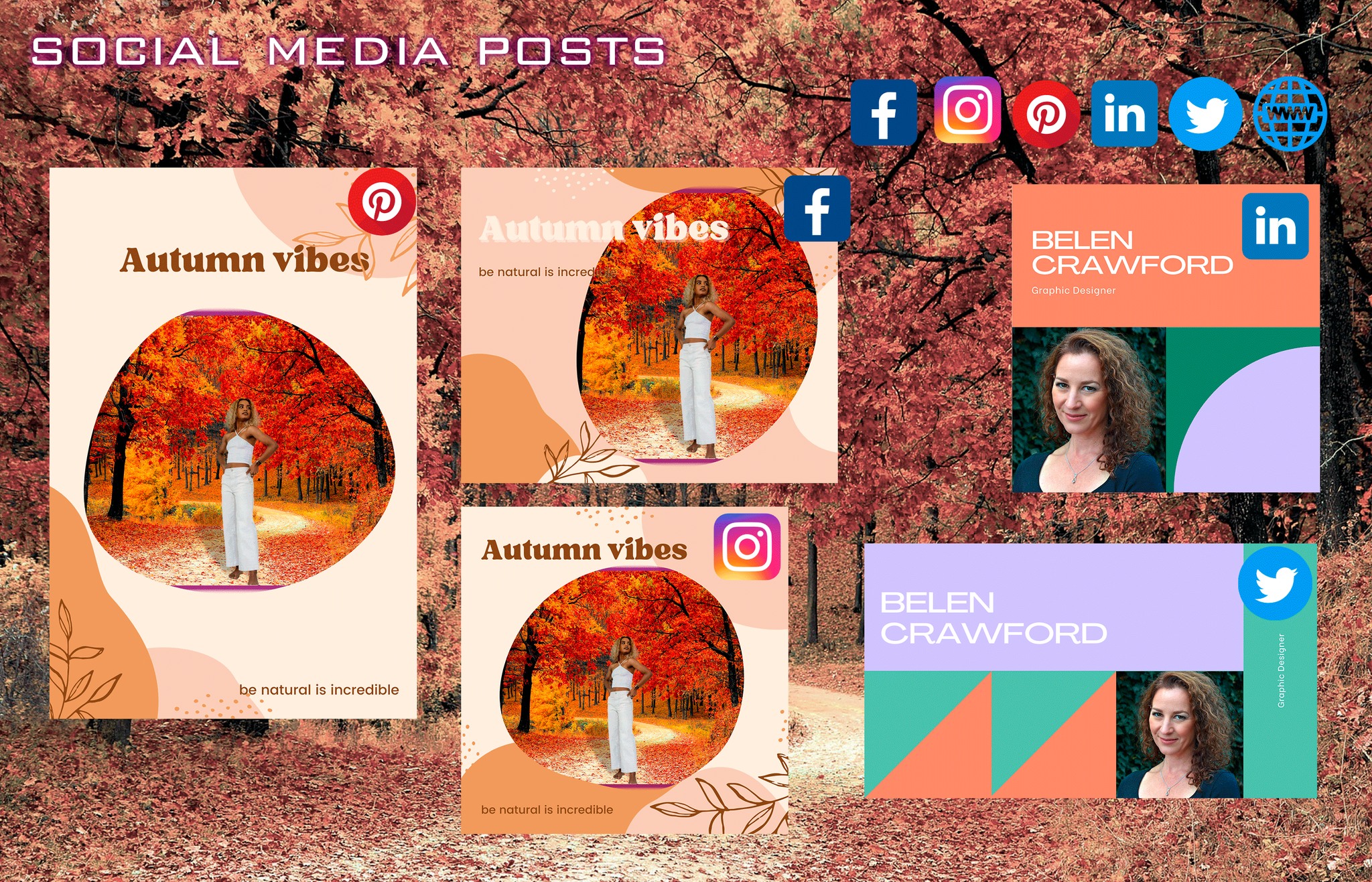 MP Design&Web
