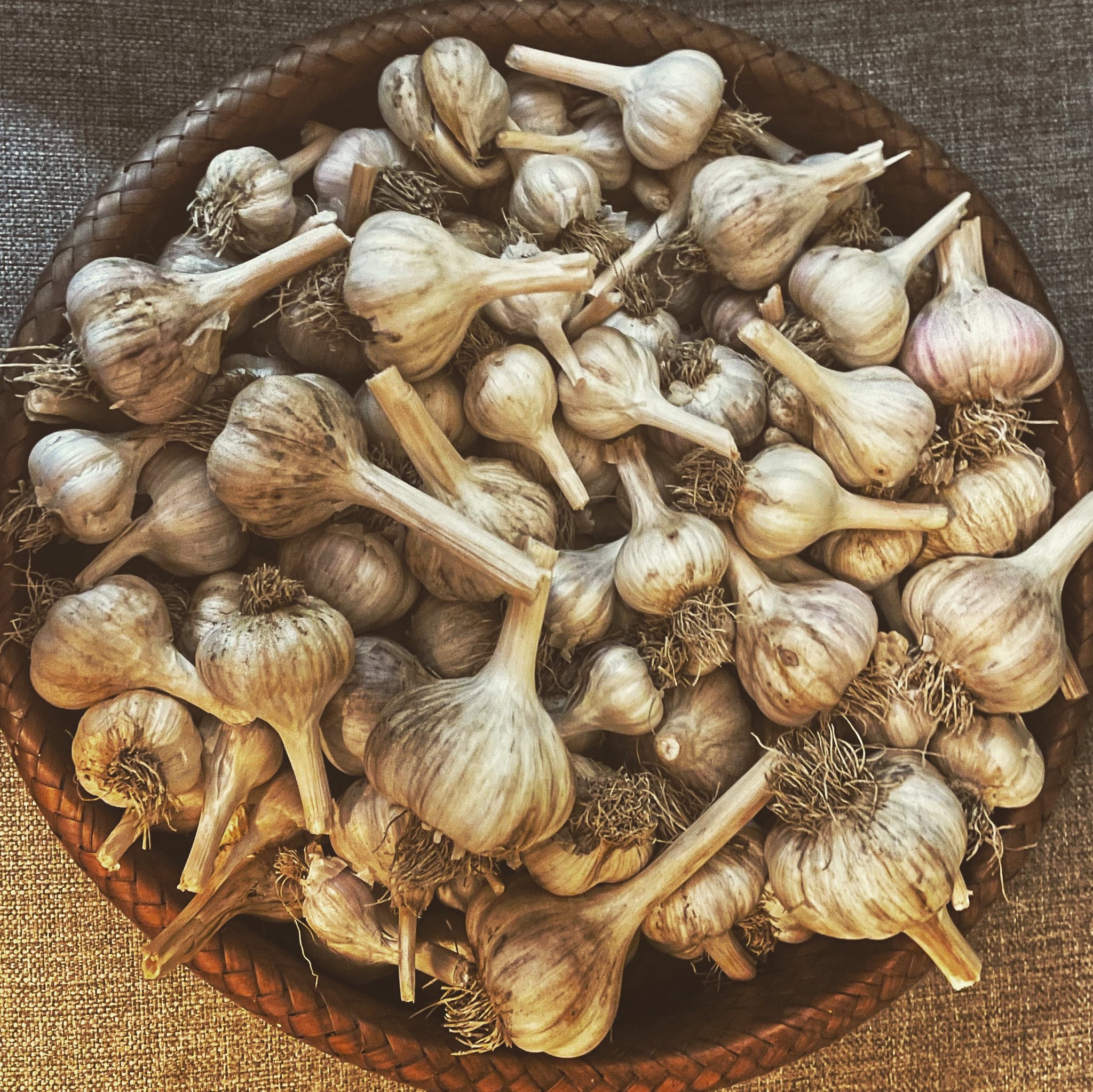 Humans Who Grow Food added a new photo. - Humans Who Grow Food