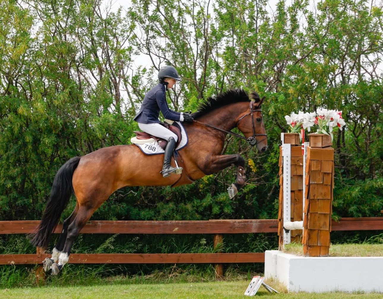 St George’s Stables Ltd. | Foothills AB