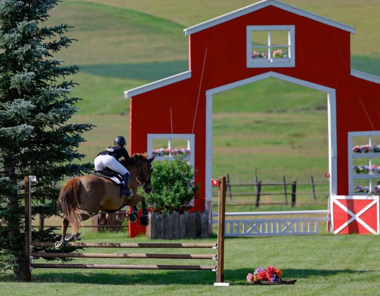 St George’s Stables Ltd. | Foothills AB