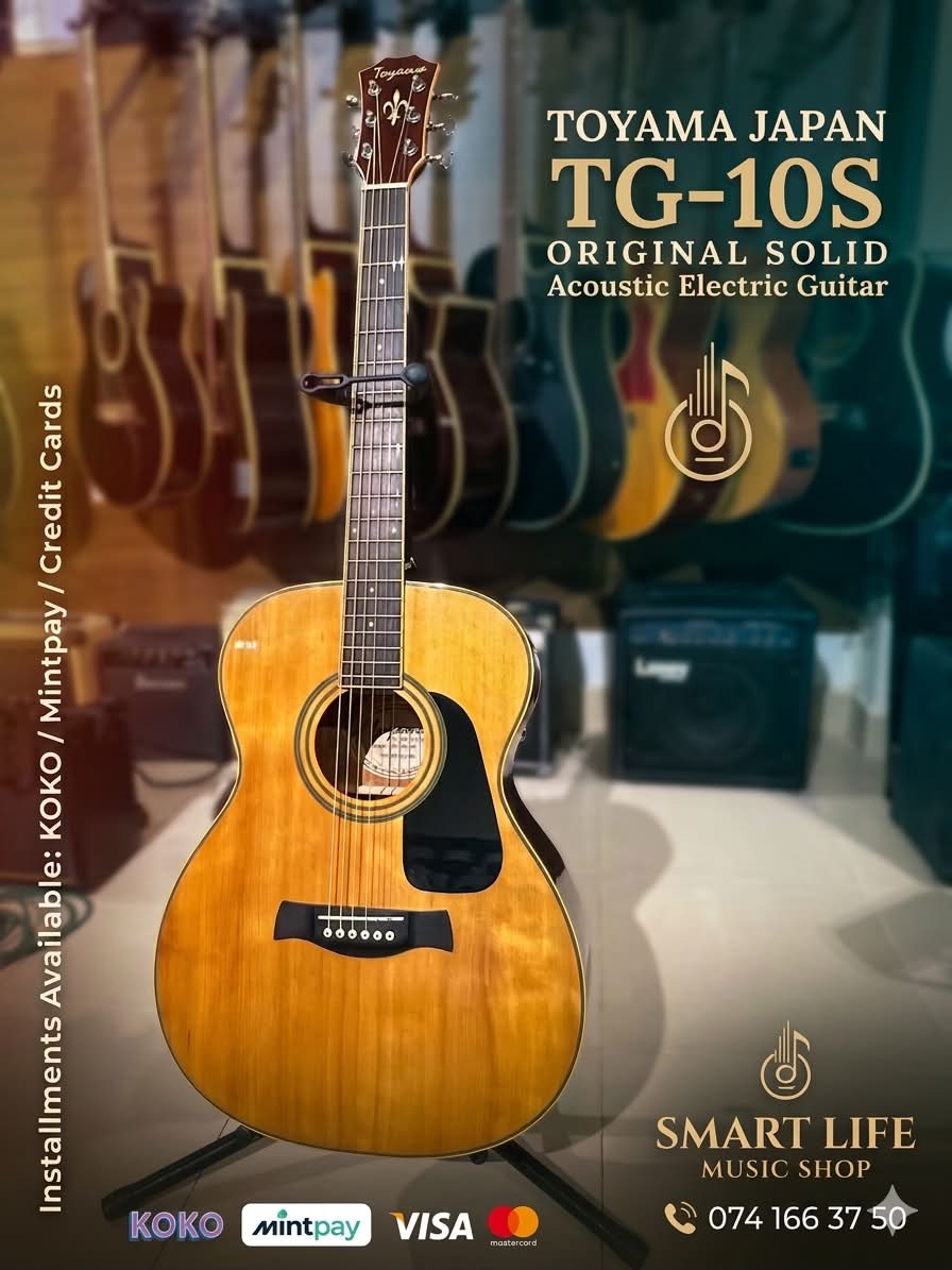 😍 ARIA PRO II | Vanguard Series Electric Guitar 🎸 Guitar Details