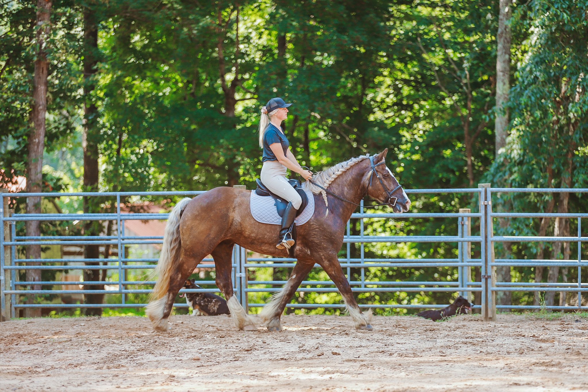 Double R Ranch Horses added a new... - Double R Ranch Horses