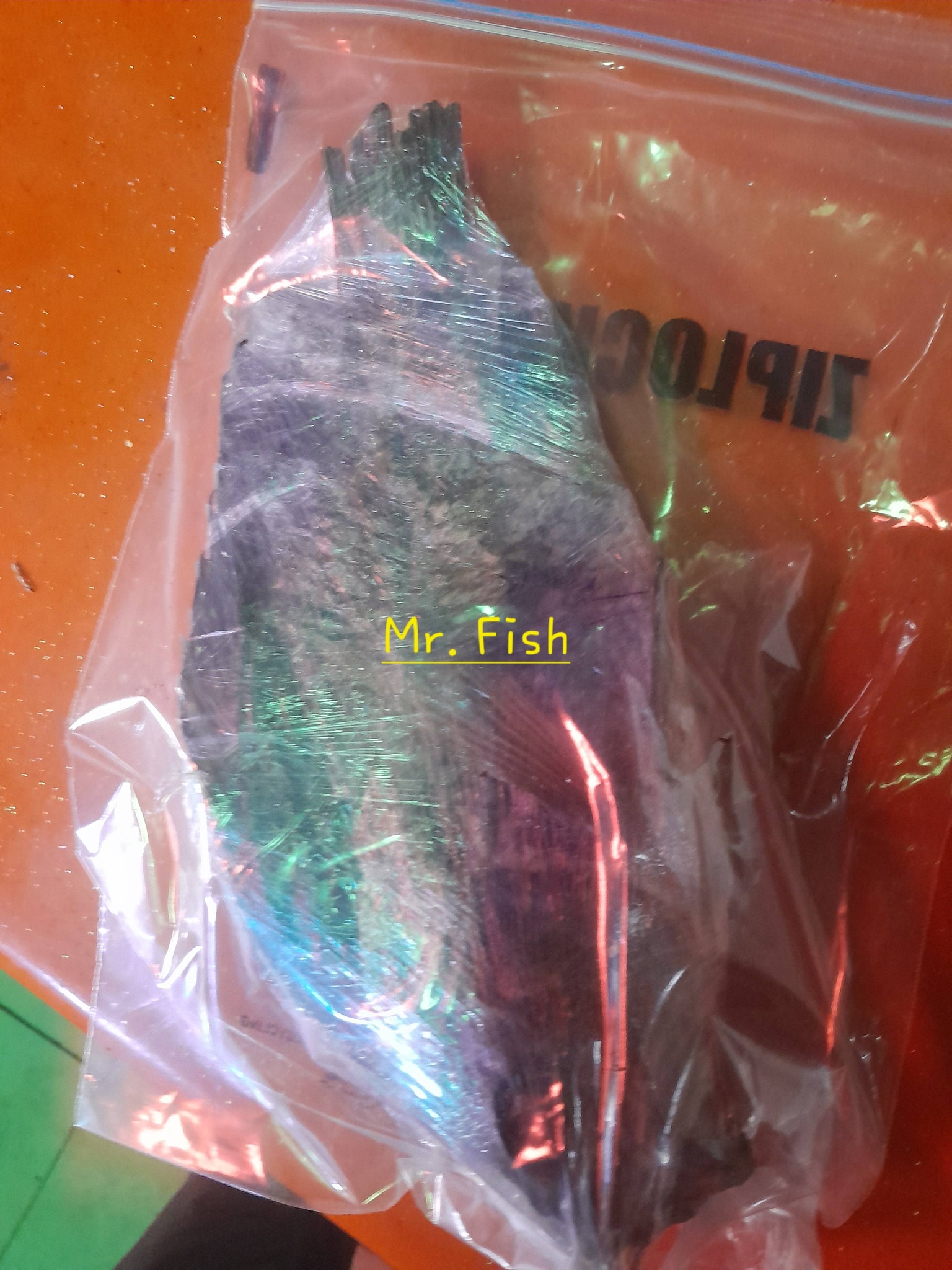Mr. Fish - Freshly Fried Kamongo/Lung Fish available from 200-300bob ...