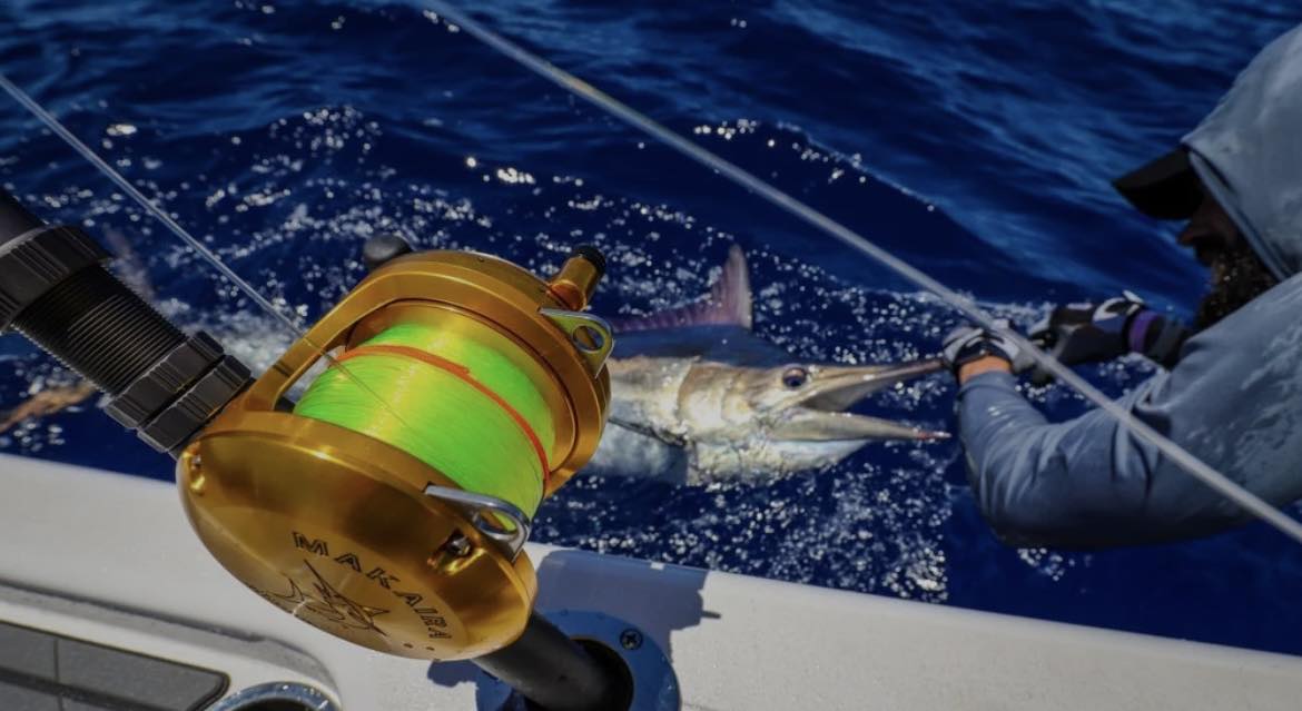 best rod and reel for cod fishing Amazon Sellers: Best & Combos Saltwater Fishing Rod and Reel