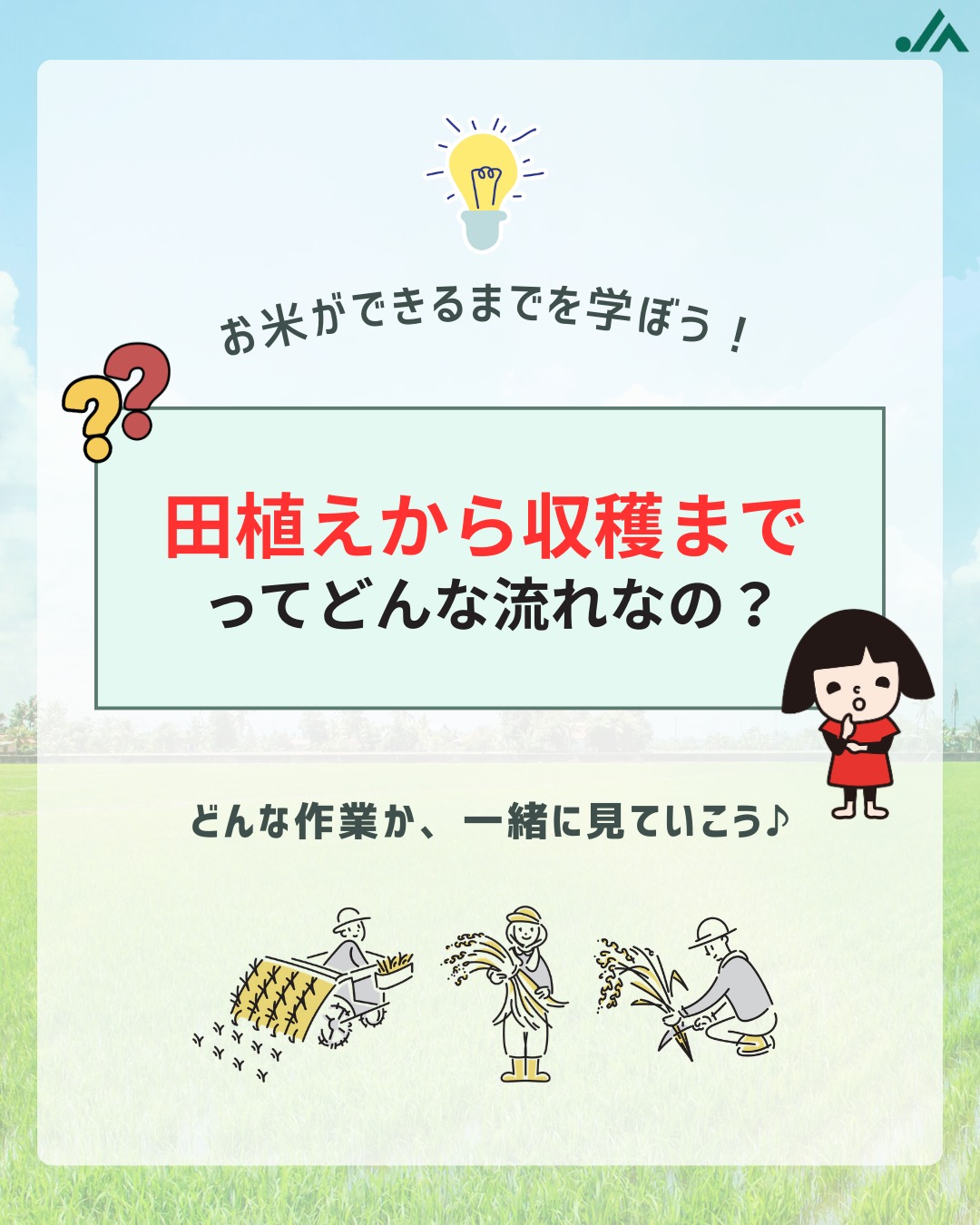 お 米 が できる まで