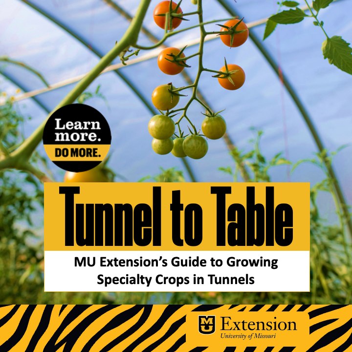 MU Extension in... - MU Extension in Washington County